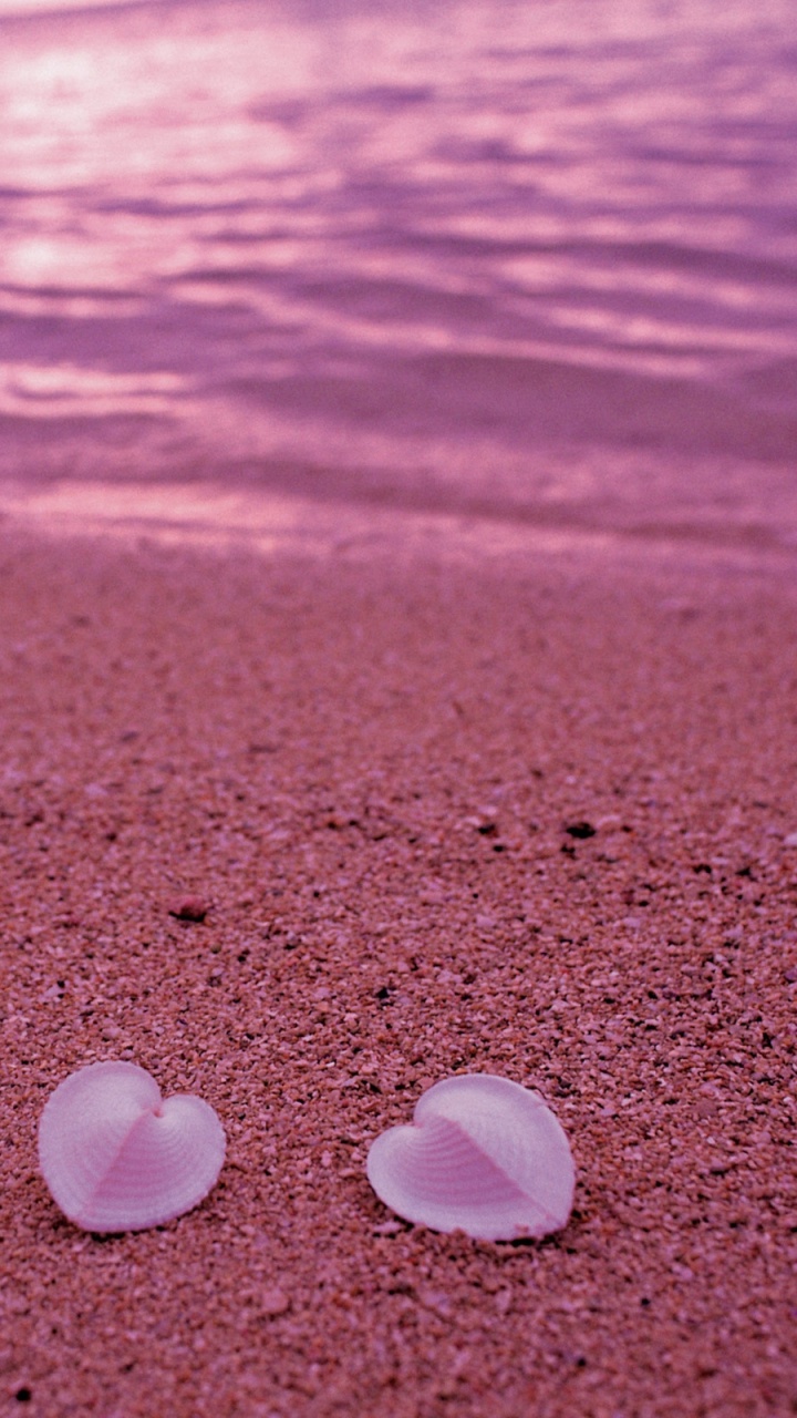 Tagsüber Weiße Steine Auf Braunem Sand. Wallpaper in 720x1280 Resolution