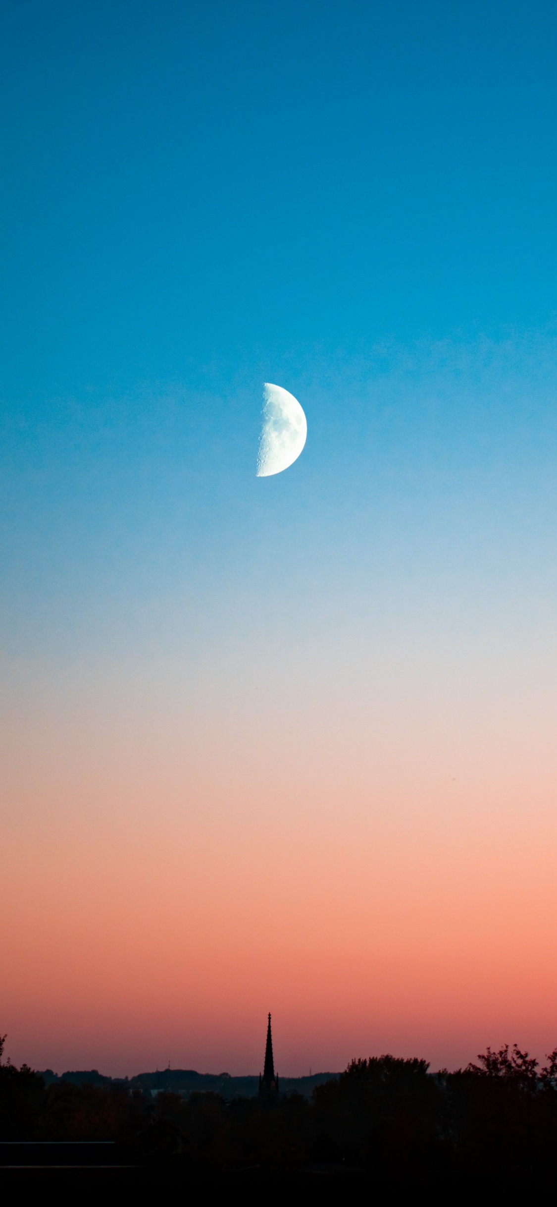 Silhouette of Trees Under Blue Sky During Daytime. Wallpaper in 1125x2436 Resolution