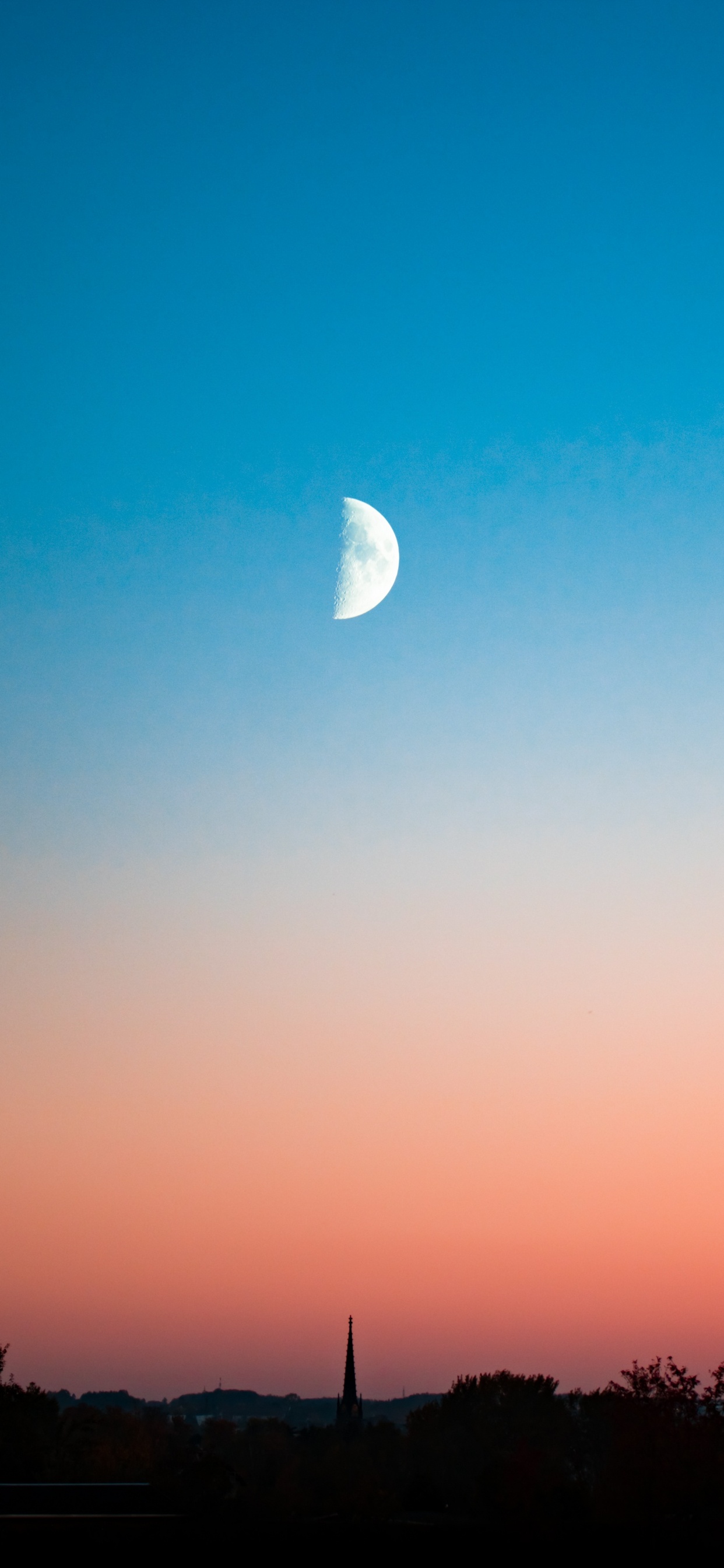 Silhouette of Trees Under Blue Sky During Daytime. Wallpaper in 1242x2688 Resolution