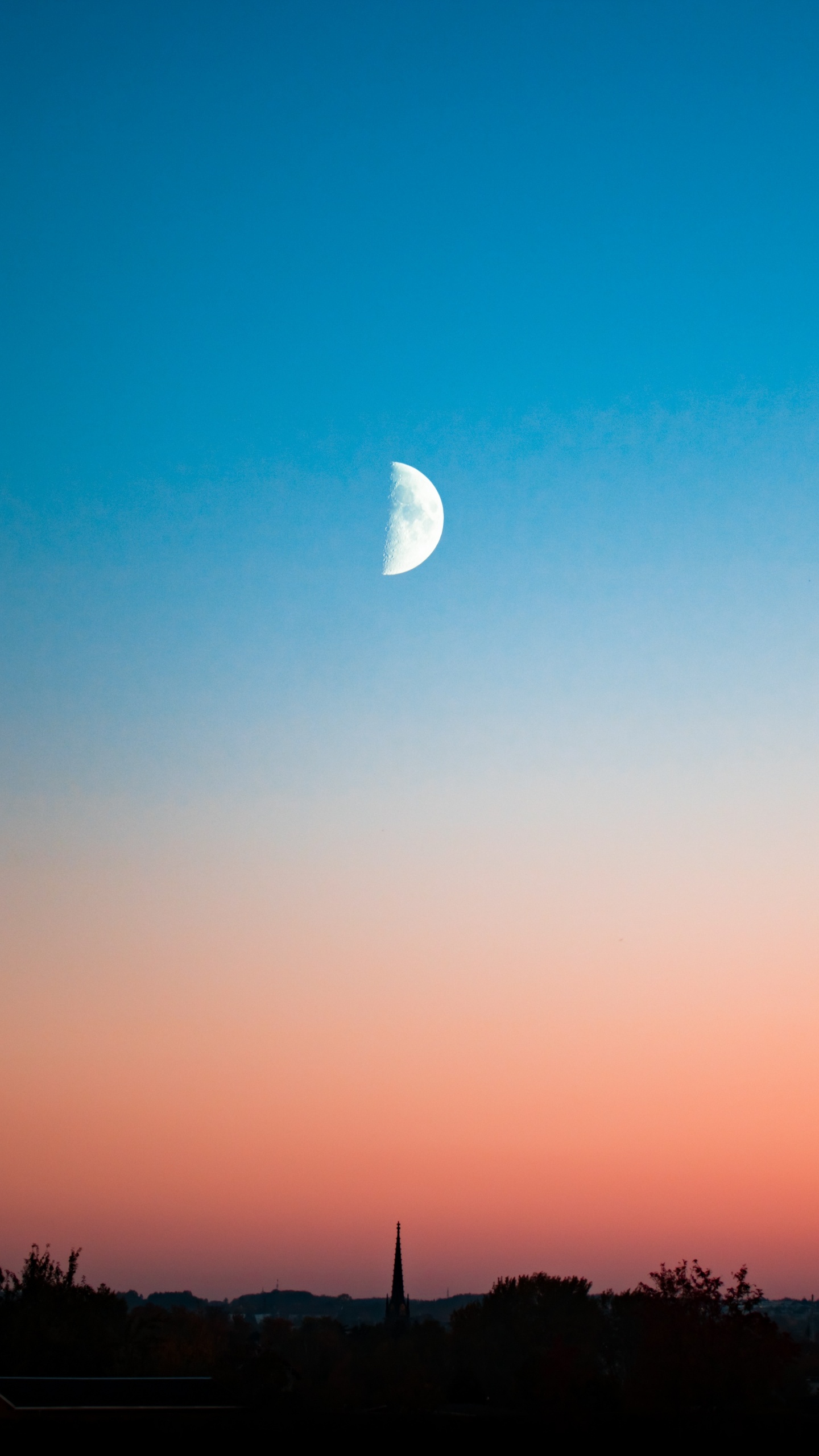 Silhouette of Trees Under Blue Sky During Daytime. Wallpaper in 1440x2560 Resolution