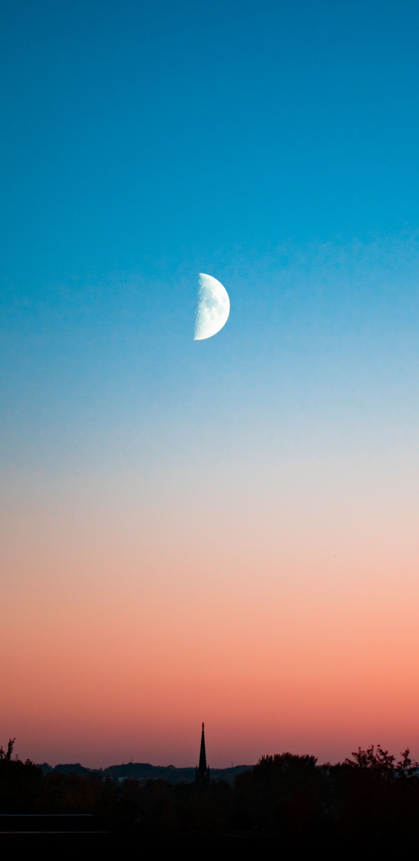 Silhouette of Trees Under Blue Sky During Daytime. Wallpaper in 1440x2960 Resolution
