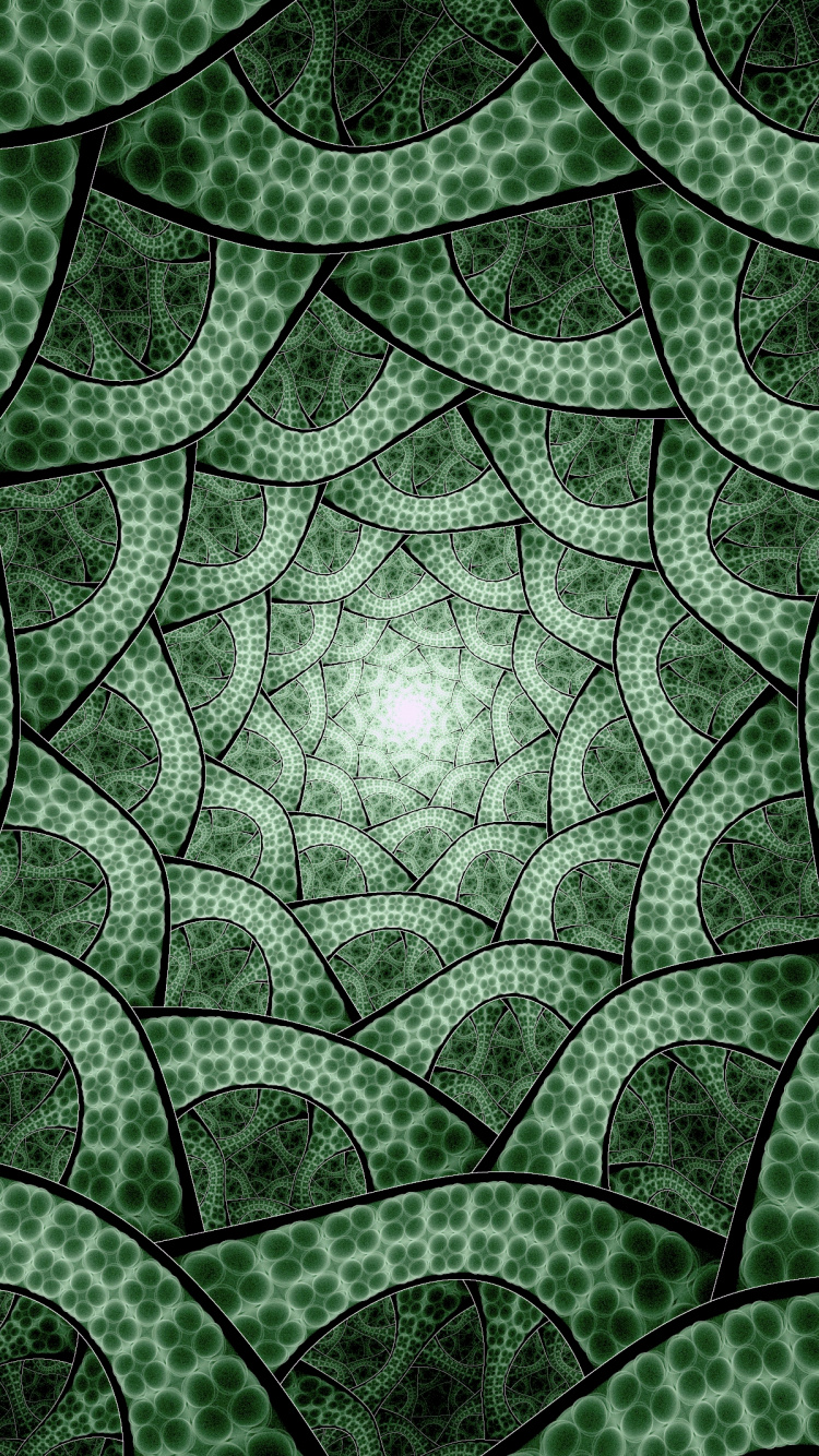 Green and White Floral Textile. Wallpaper in 750x1334 Resolution