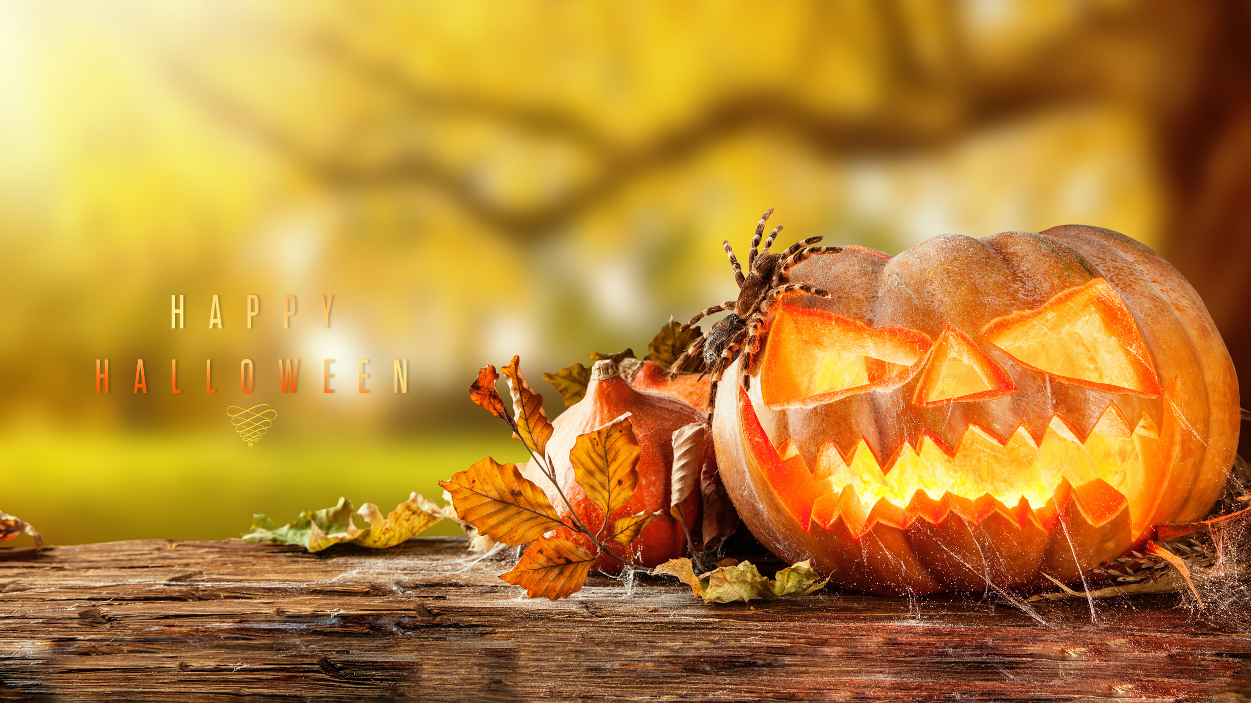 Halloween, Calabaza, Calabaza de Invierno, Cucurbita, la Comida Vegetariana. Wallpaper in 2560x1440 Resolution