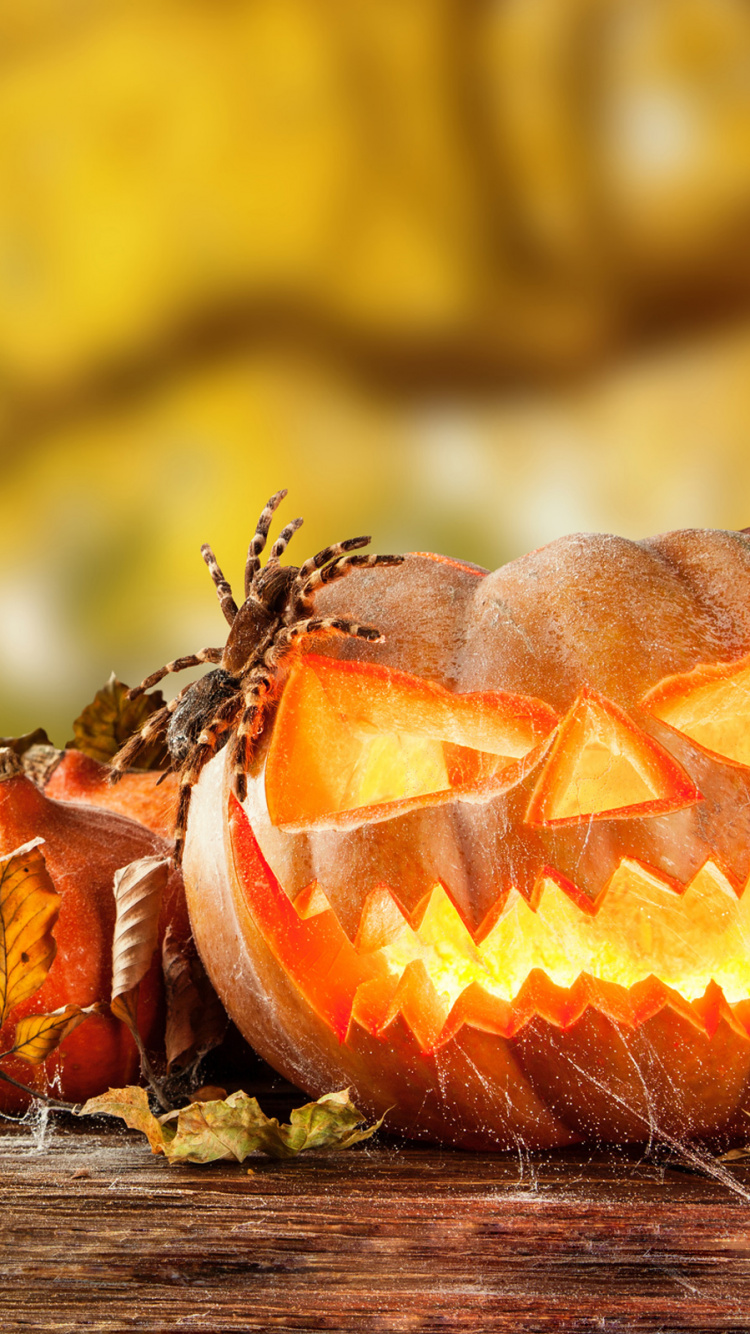 Halloween, Calabaza, Calabaza de Invierno, Cucurbita, la Comida Vegetariana. Wallpaper in 750x1334 Resolution