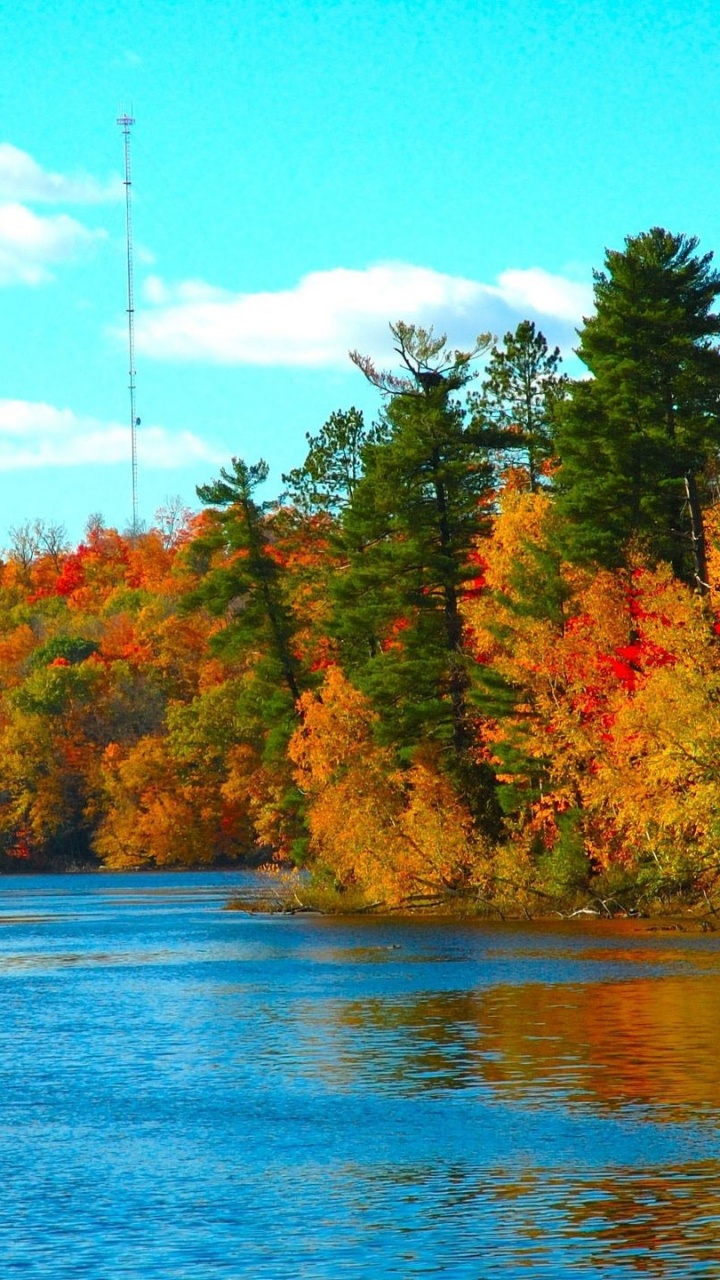 Natur, Reflexion, Blatt, Herbst, Wasser. Wallpaper in 720x1280 Resolution