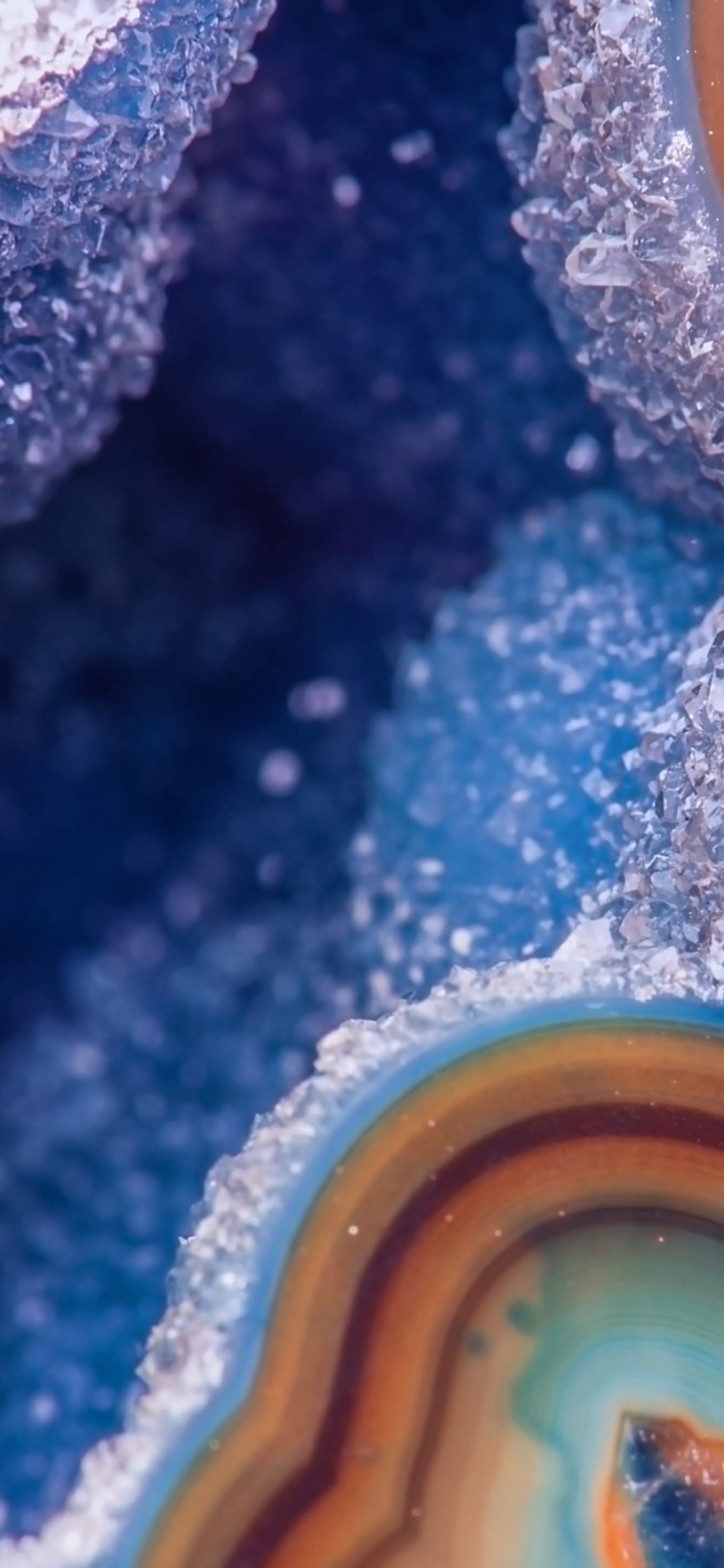 Nokia, Nokia 9, 诺基亚9 Pureview, HMD全球, 安卓 壁纸 1125x2436 允许