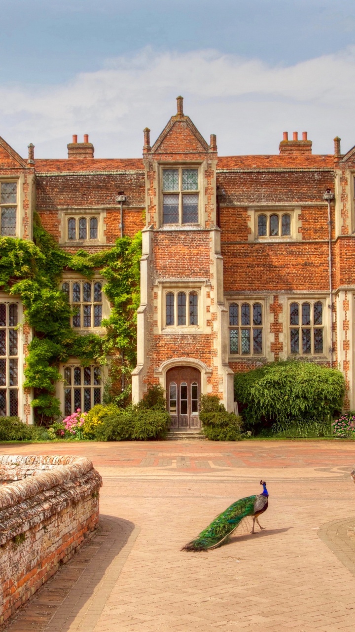 Braunes Und Weißes Betongebäude. Wallpaper in 720x1280 Resolution