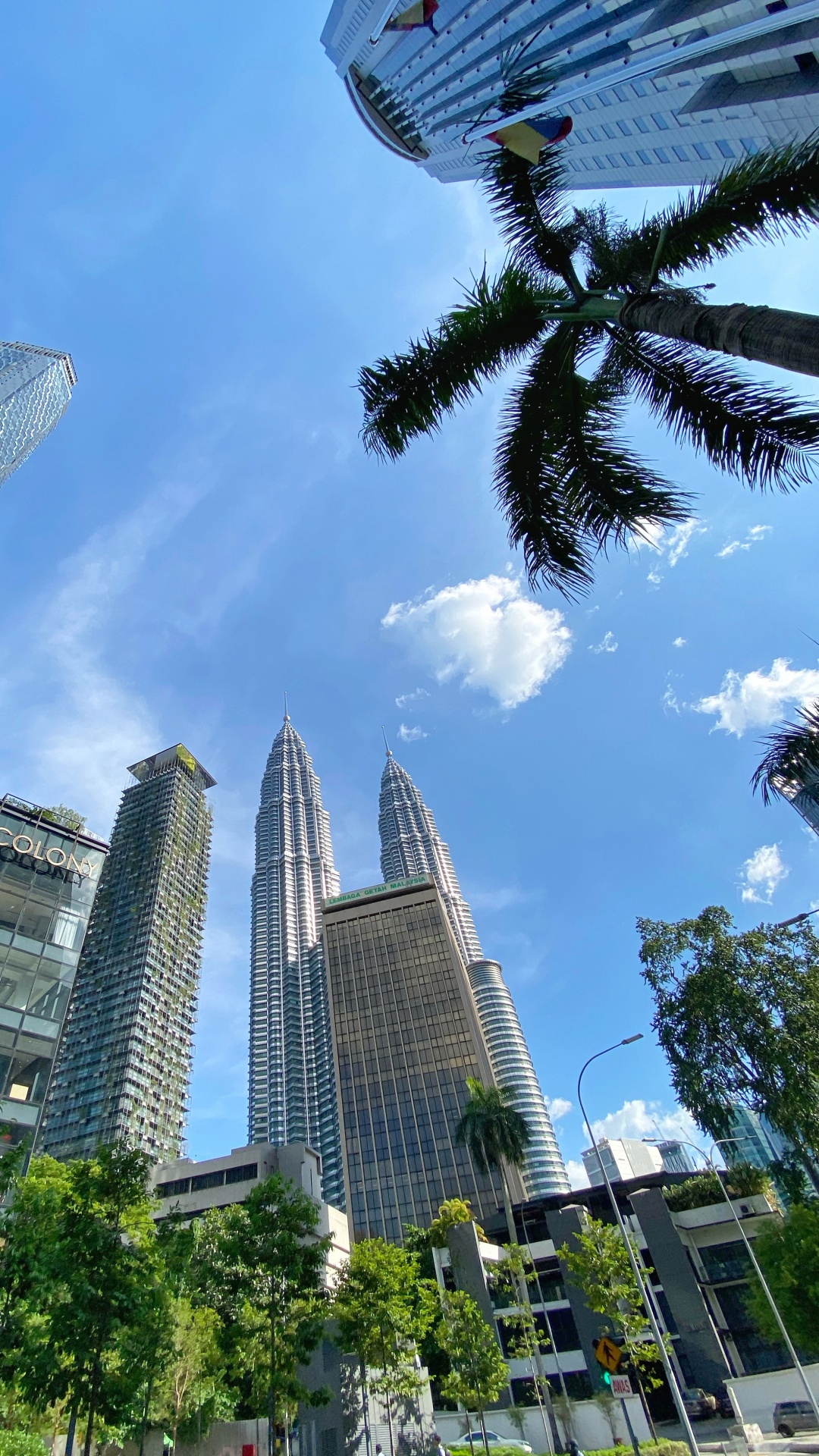 Kuala Lumpur, Malaysia, Palm Trees, Daytime, Tower Block. Wallpaper in 1080x1920 Resolution