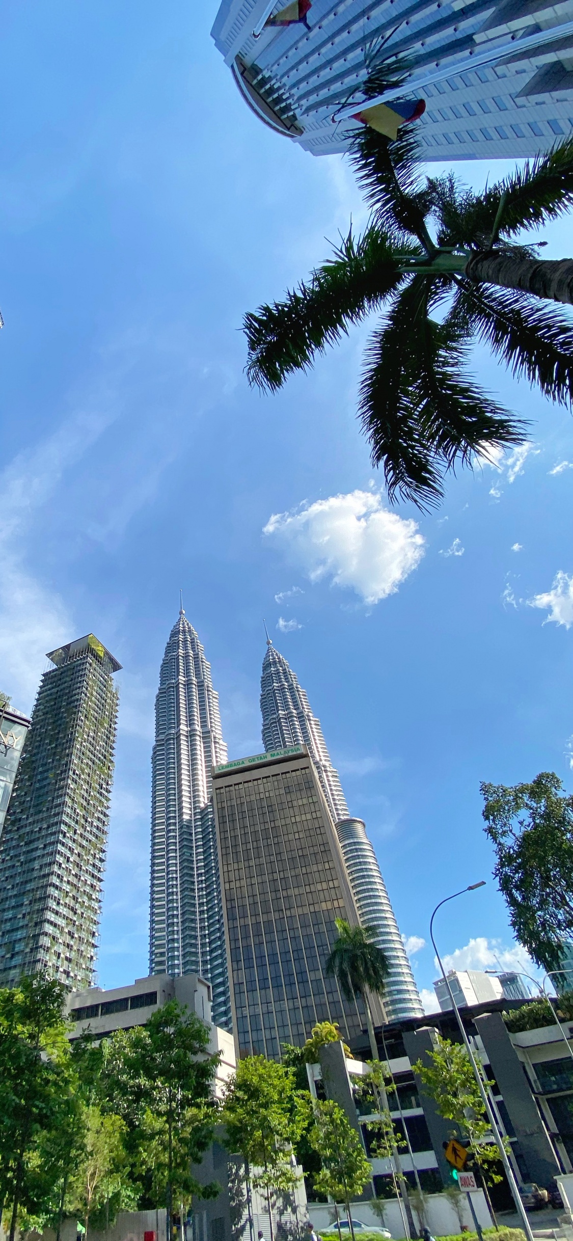 Kuala Lumpur, Malaysia, Palm Trees, Daytime, Tower Block. Wallpaper in 1125x2436 Resolution