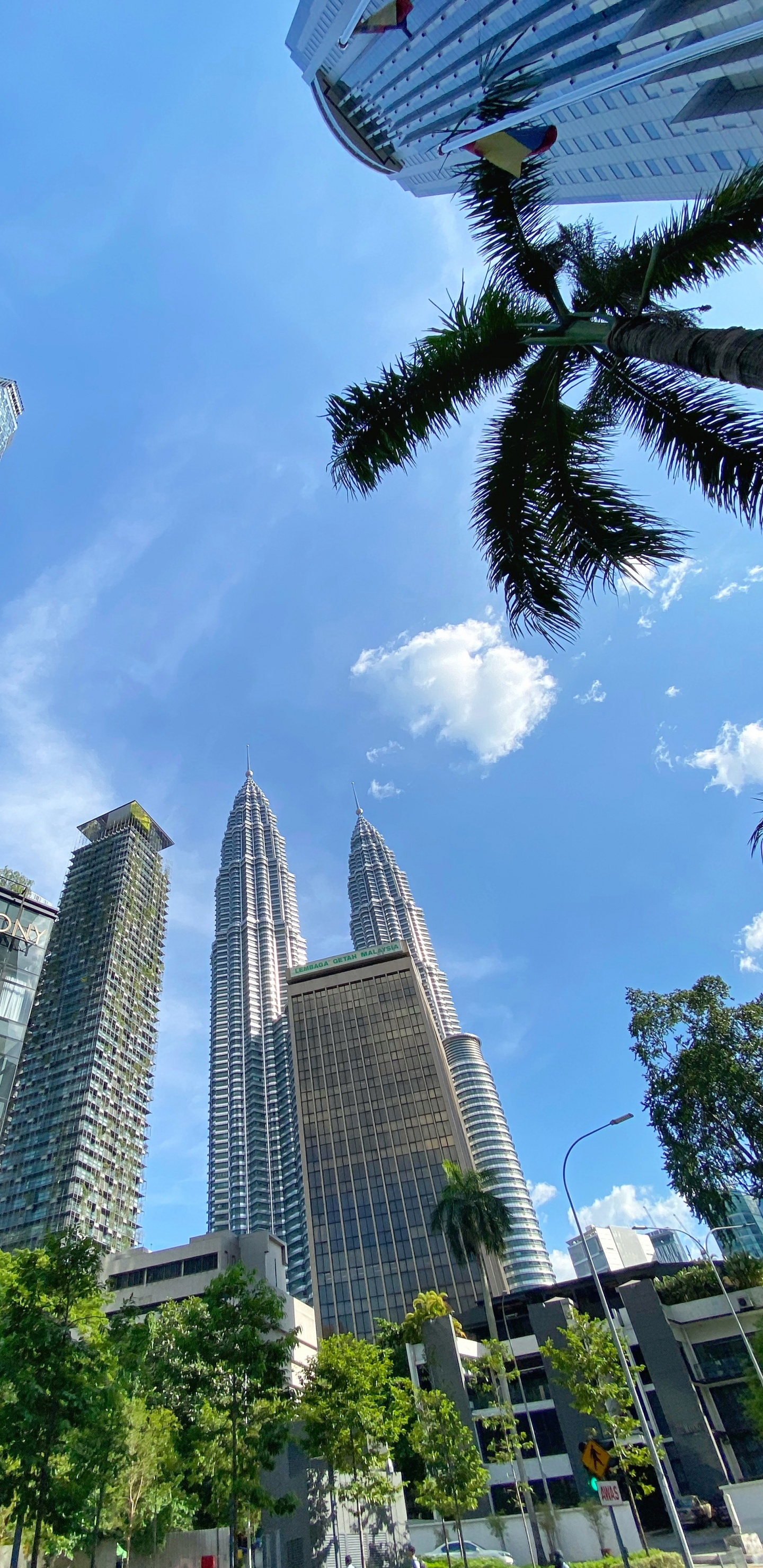 Kuala Lumpur, Malaysia, Palm Trees, Daytime, Tower Block. Wallpaper in 1440x2960 Resolution