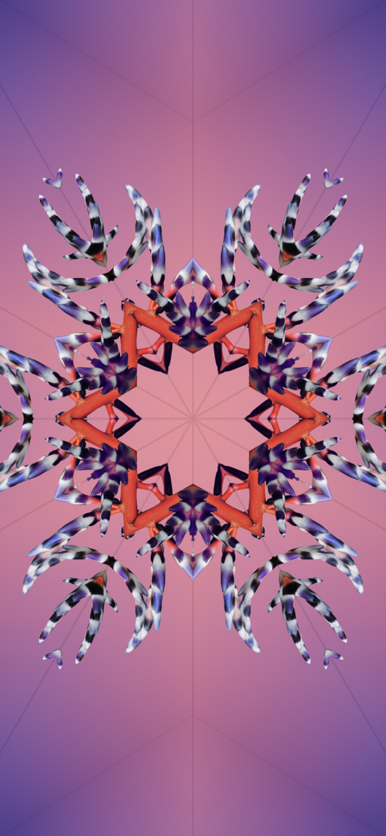 IOS 17, Ios 18, Äpfeln, Weltweite Entwicklerkonferenz, Tablet. Wallpaper in 1242x2688 Resolution