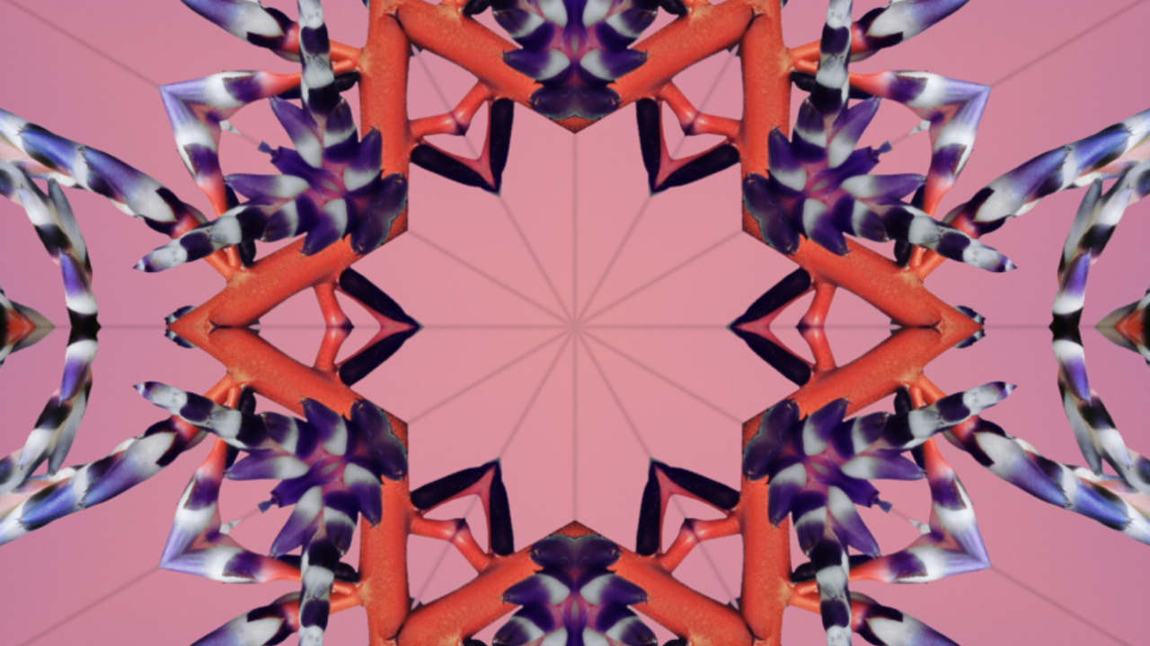 IOS 17, Ios 18, Äpfeln, Weltweite Entwicklerkonferenz, Tablet. Wallpaper in 1280x720 Resolution