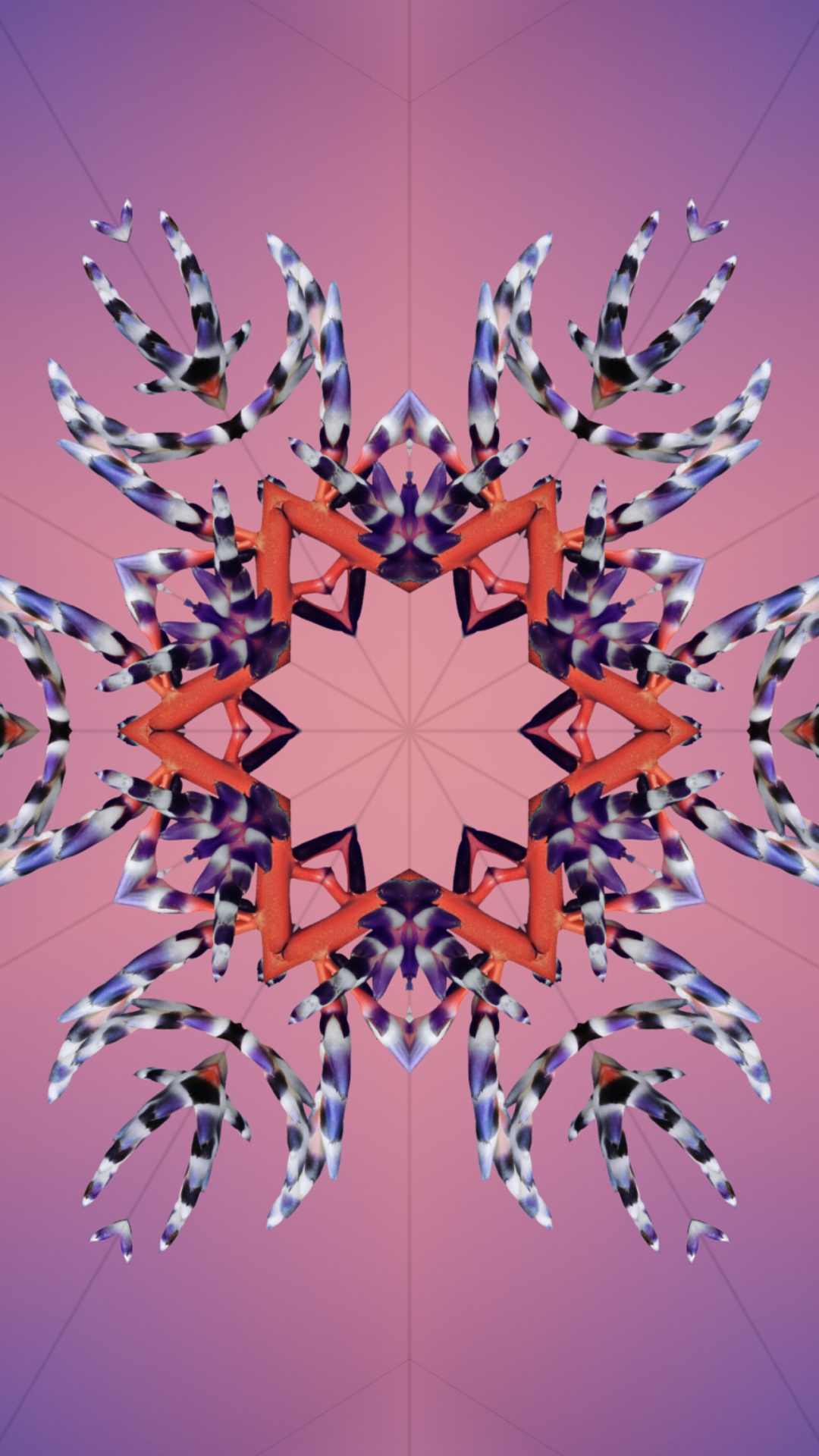 Ios 17, IOS 18, Apple, Conférence Mondiale Des Développeurs, Tablet. Wallpaper in 1080x1920 Resolution