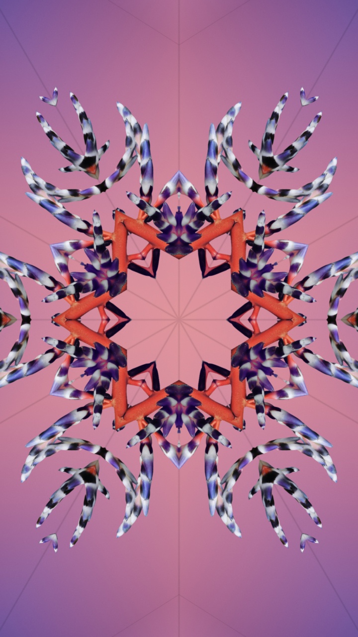 Ios 17, IOS 18, Apple, Conférence Mondiale Des Développeurs, Tablet. Wallpaper in 720x1280 Resolution