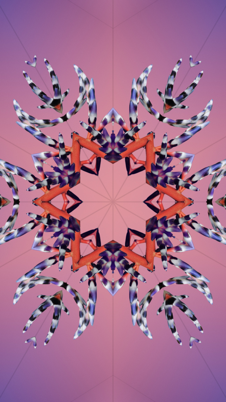 Ios 17, IOS 18, Apple, Conférence Mondiale Des Développeurs, Tablet. Wallpaper in 750x1334 Resolution