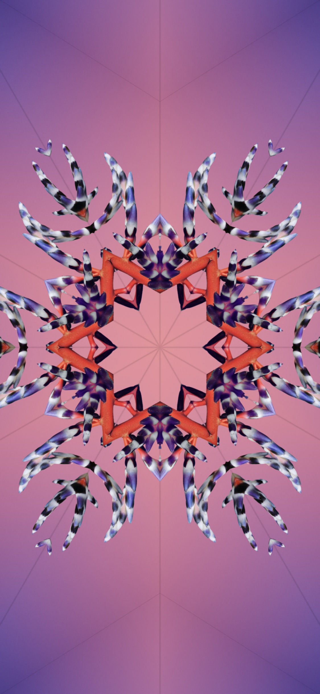 IOS 17, IOS 18, 苹果, 平板电脑 壁纸 1125x2436 允许