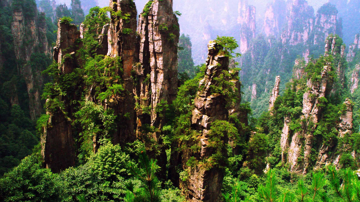 Green Trees on Mountain During Daytime. Wallpaper in 1366x768 Resolution