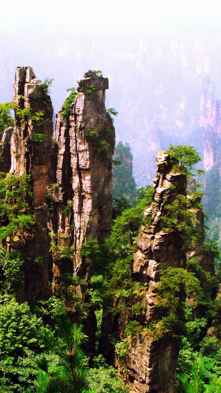 Green Trees on Mountain During Daytime. Wallpaper in 720x1280 Resolution