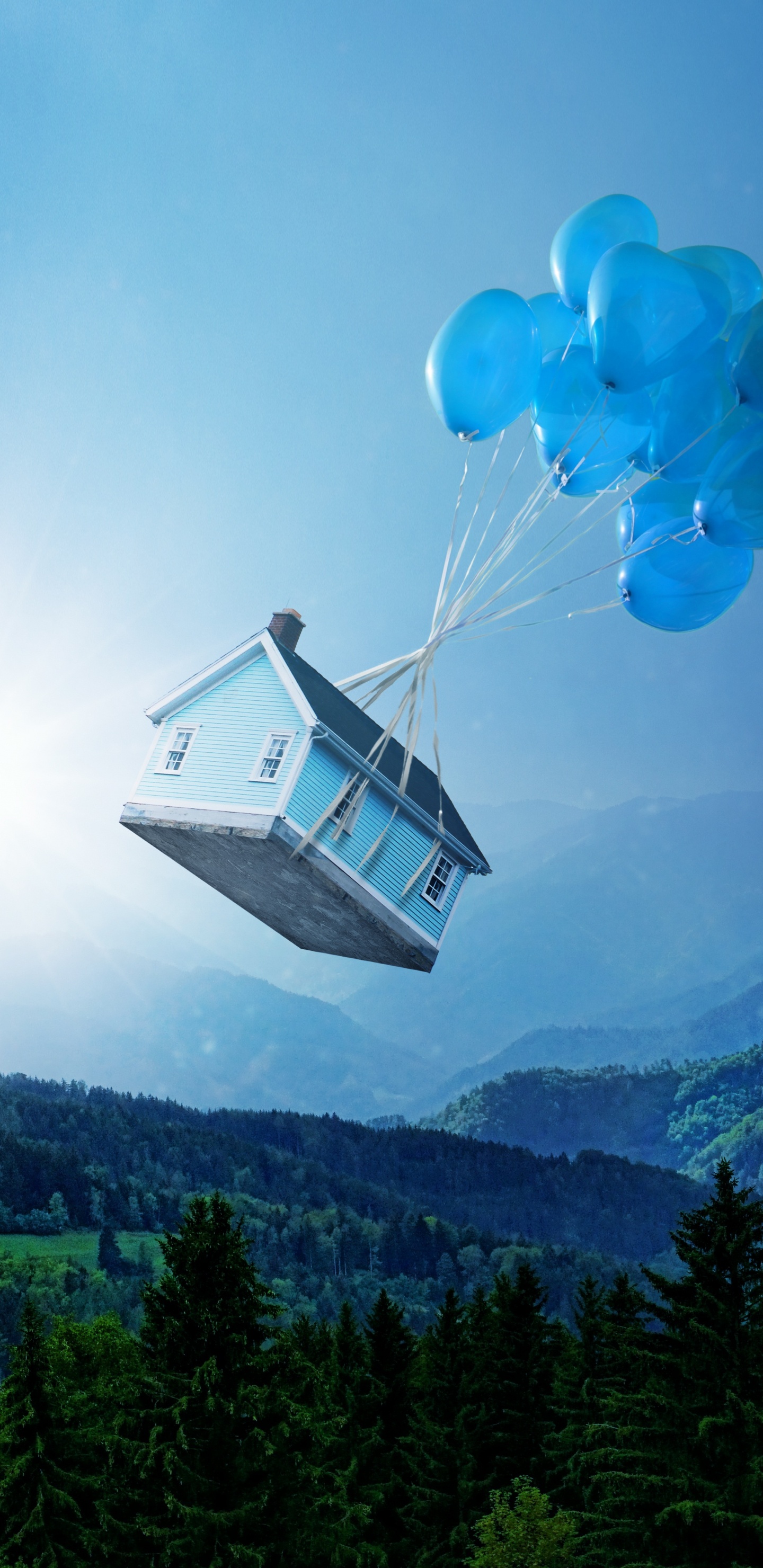 Teleférico Azul y Blanco Sobre Árboles Verdes Durante el Día. Wallpaper in 1440x2960 Resolution