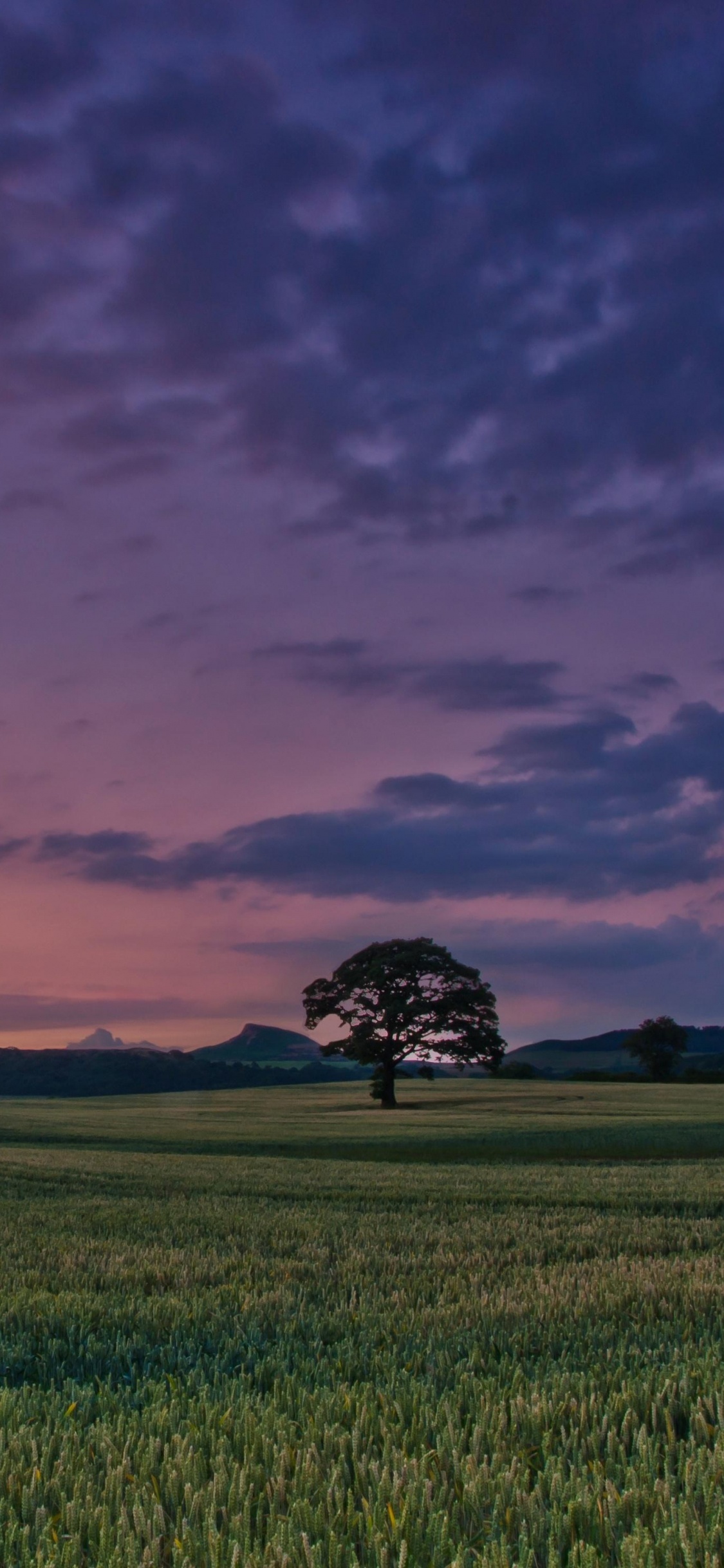 Champ D'herbe Verte Sous un Ciel Nuageux Pendant le Coucher du Soleil. Wallpaper in 1125x2436 Resolution