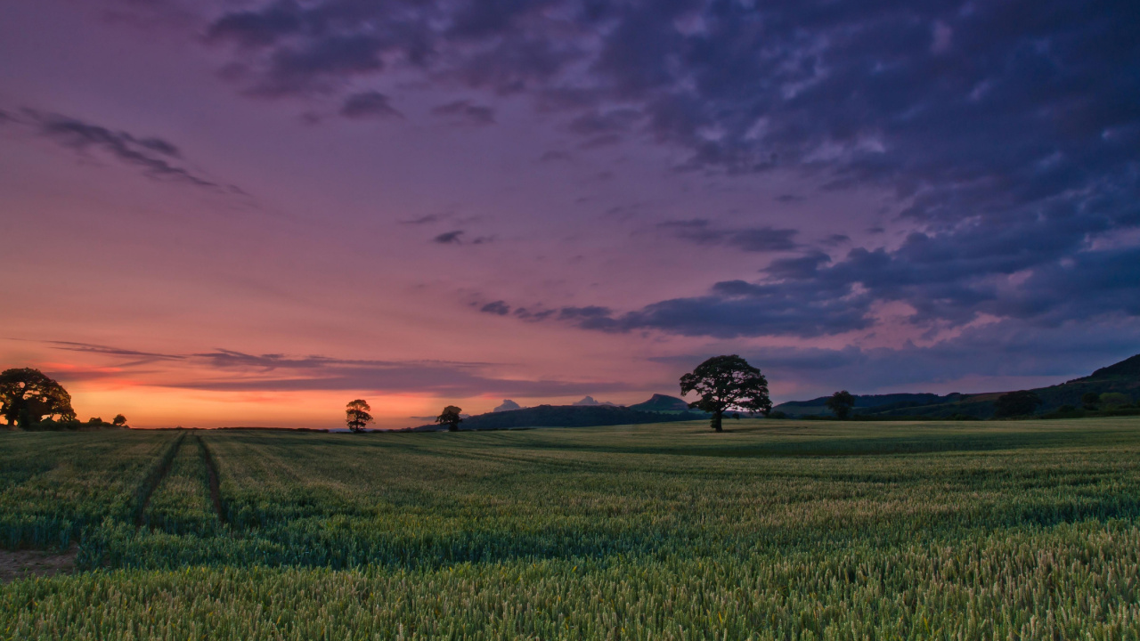 Champ D'herbe Verte Sous un Ciel Nuageux Pendant le Coucher du Soleil. Wallpaper in 1280x720 Resolution