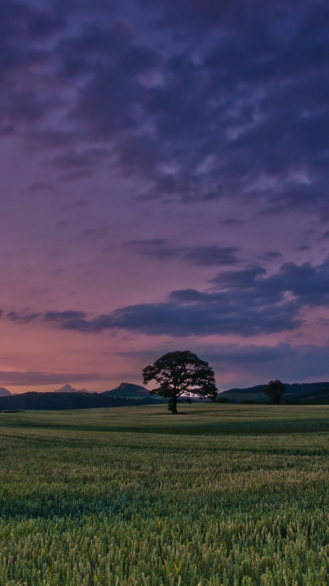 Green Grass Field Under Cloudy Sky During Sunset. Wallpaper in 1080x1920 Resolution