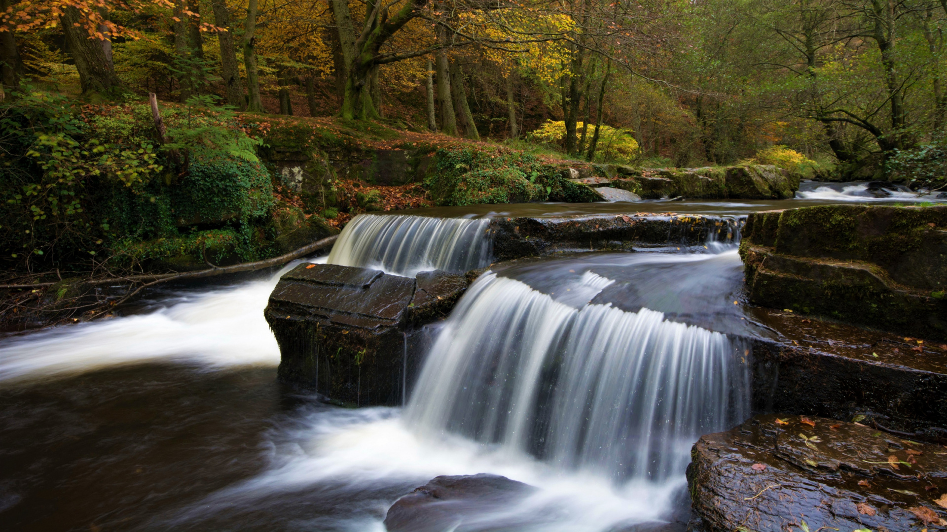 Cascades en Forêt Pendant la Journée. Wallpaper in 1920x1080 Resolution