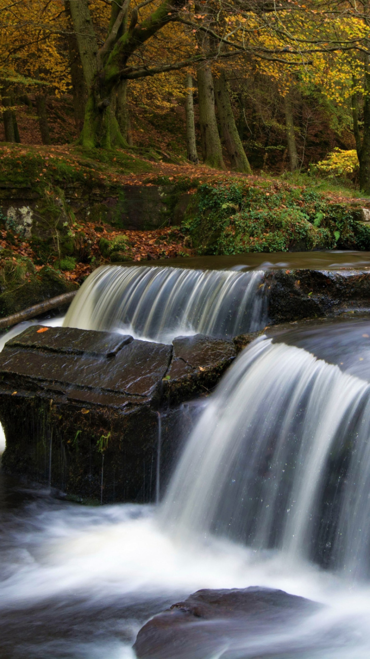 Cascades en Forêt Pendant la Journée. Wallpaper in 750x1334 Resolution
