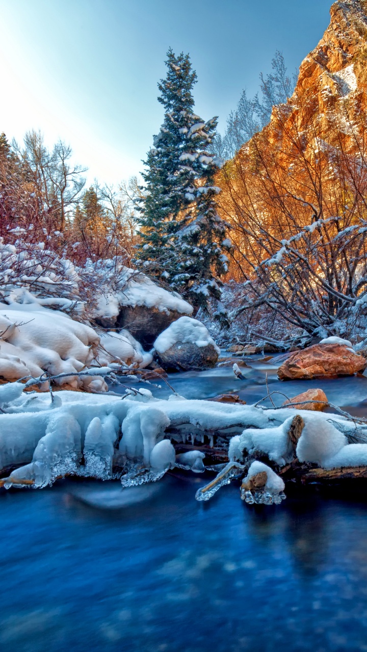 Snow Covered Trees and Rocks Beside River During Daytime. Wallpaper in 720x1280 Resolution