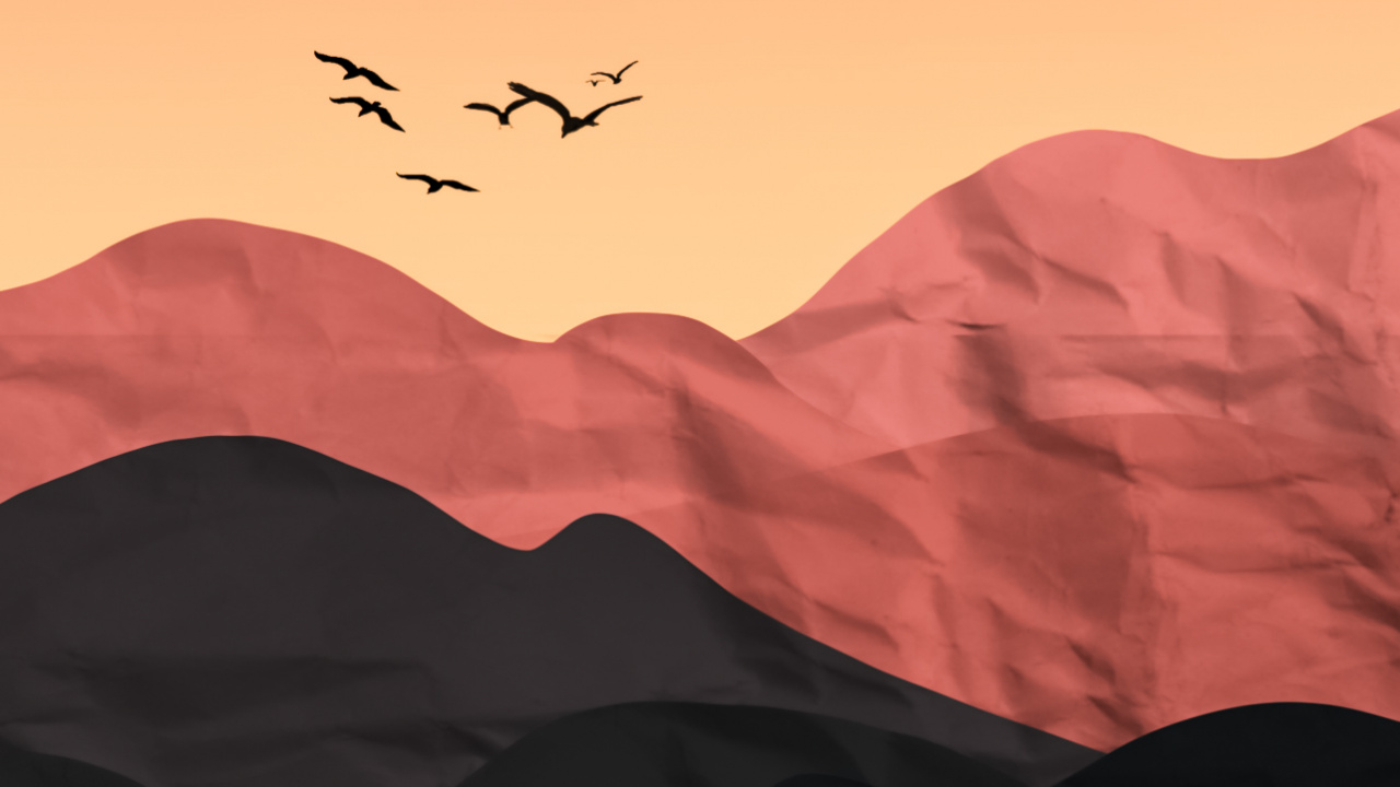 Pájaros, Biología, Ciencia, Ave, Ambiente. Wallpaper in 1280x720 Resolution