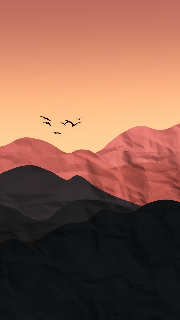 Pájaros, Biología, Ciencia, Ave, Ambiente. Wallpaper in 720x1280 Resolution