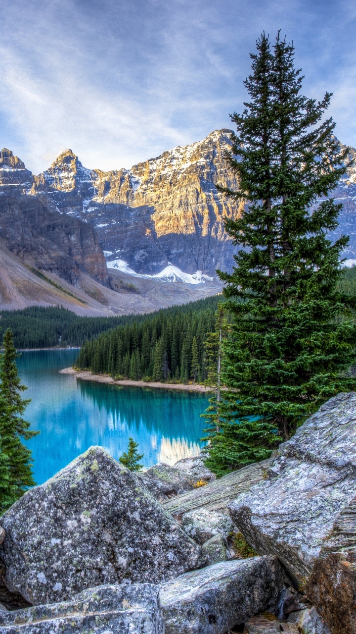 Green Pine Trees Near Lake and Mountain Under Blue Sky During Daytime. Wallpaper in 720x1280 Resolution