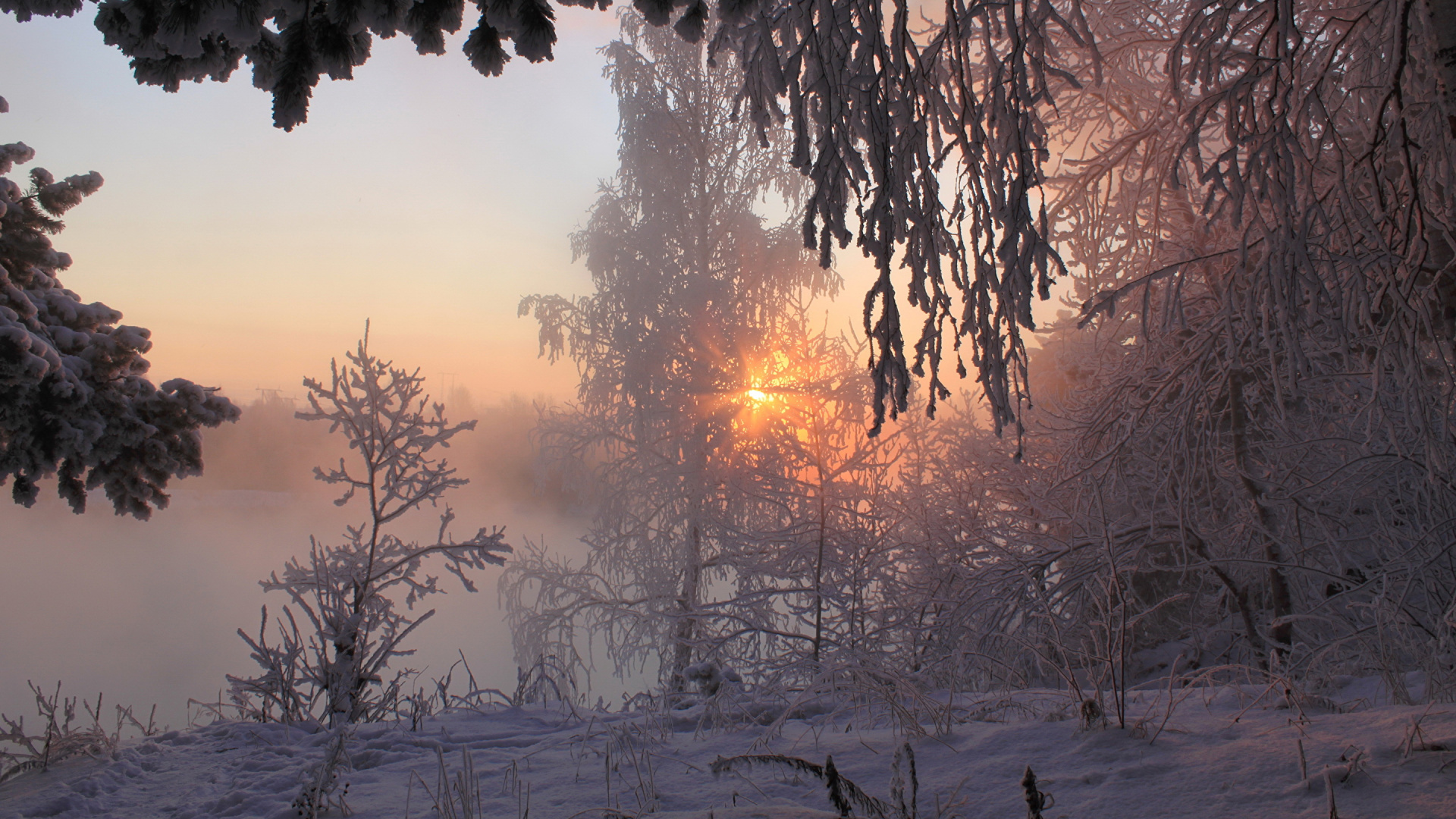 Arbres Verts Sur le Sol Couvert de Neige Pendant le Coucher du Soleil. Wallpaper in 1920x1080 Resolution