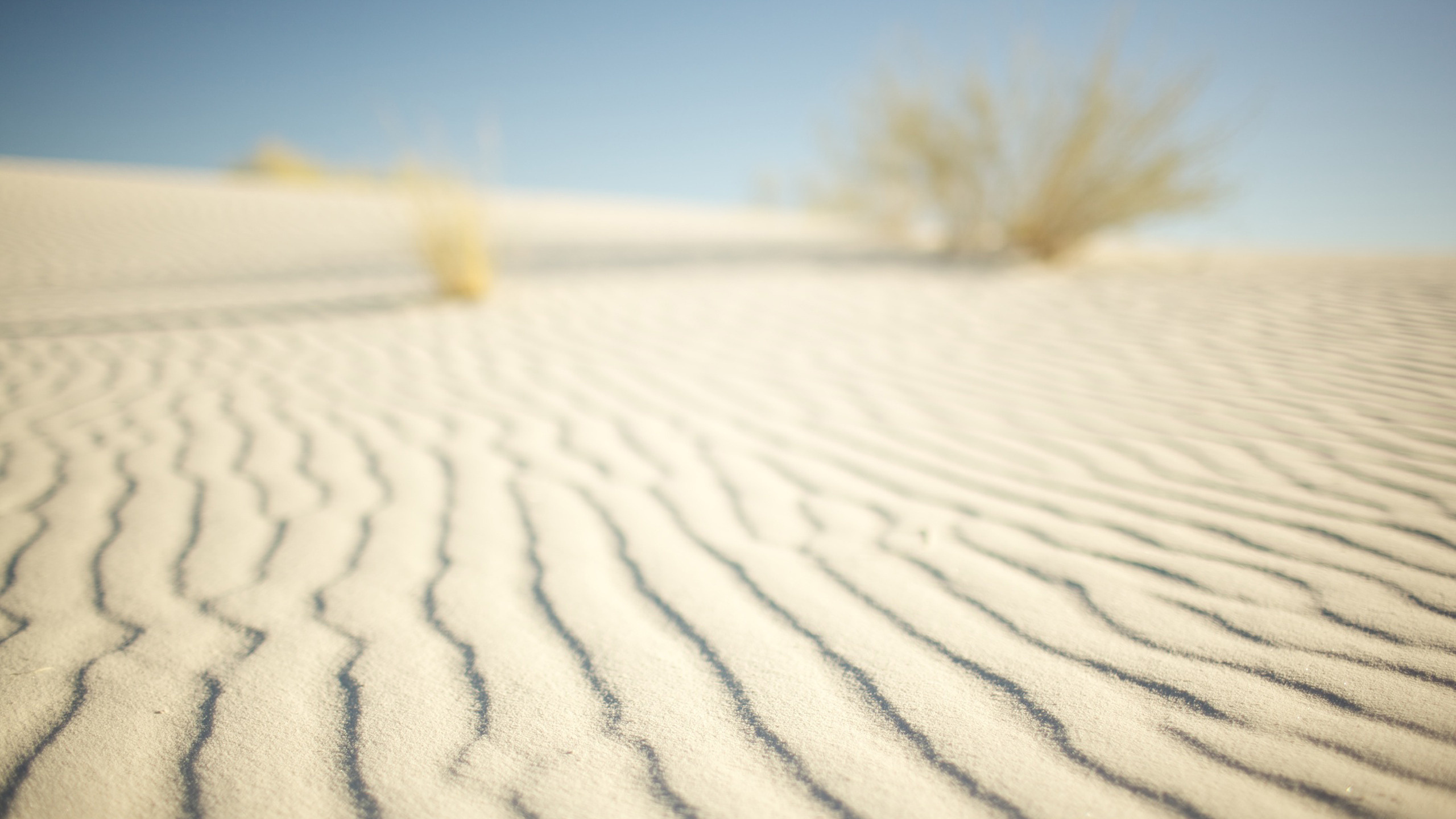 White Sand Under Blue Sky During Daytime. Wallpaper in 2560x1440 Resolution