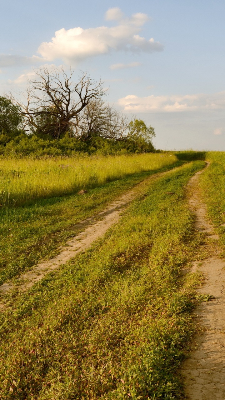 Green Grass Field and Trees Under Blue Sky During Daytime. Wallpaper in 720x1280 Resolution