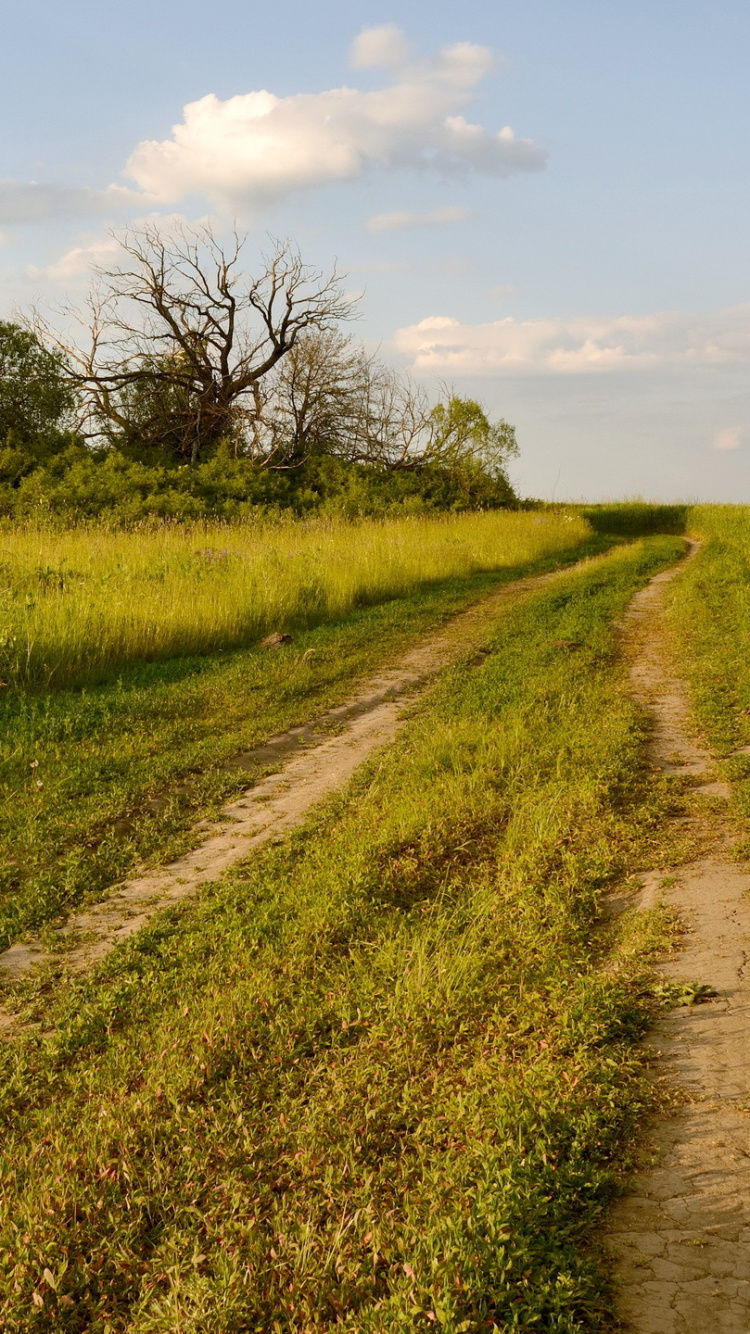 Tagsüber Grüne Wiese Und Bäume Unter Blauem Himmel. Wallpaper in 750x1334 Resolution