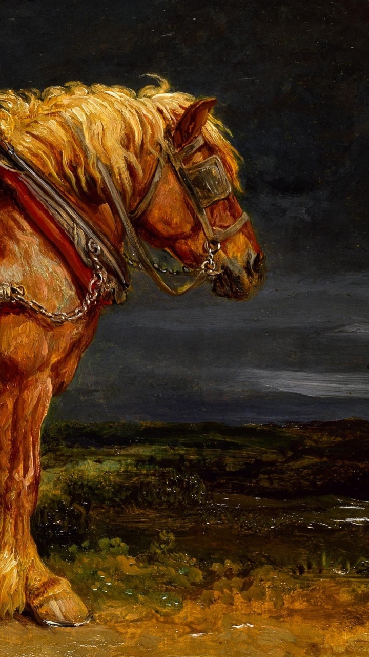 Caballo Marrón en la Pintura de Campo Marrón. Wallpaper in 720x1280 Resolution