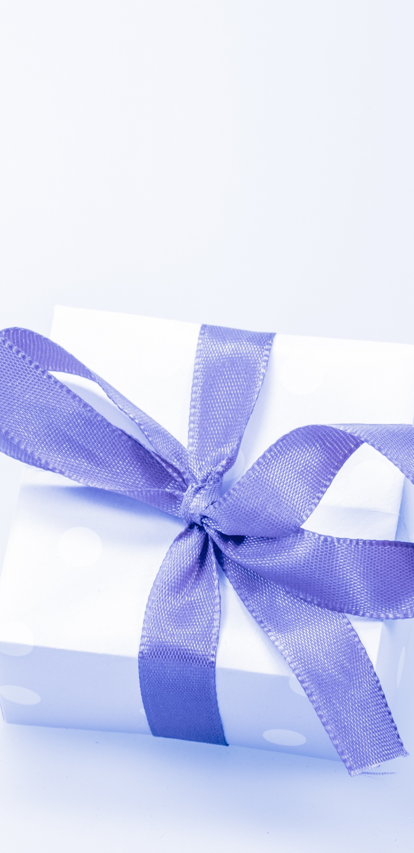礼物, 礼品卡, 礼品包装, 丝带, 紫罗兰色 壁纸 1440x2960 允许