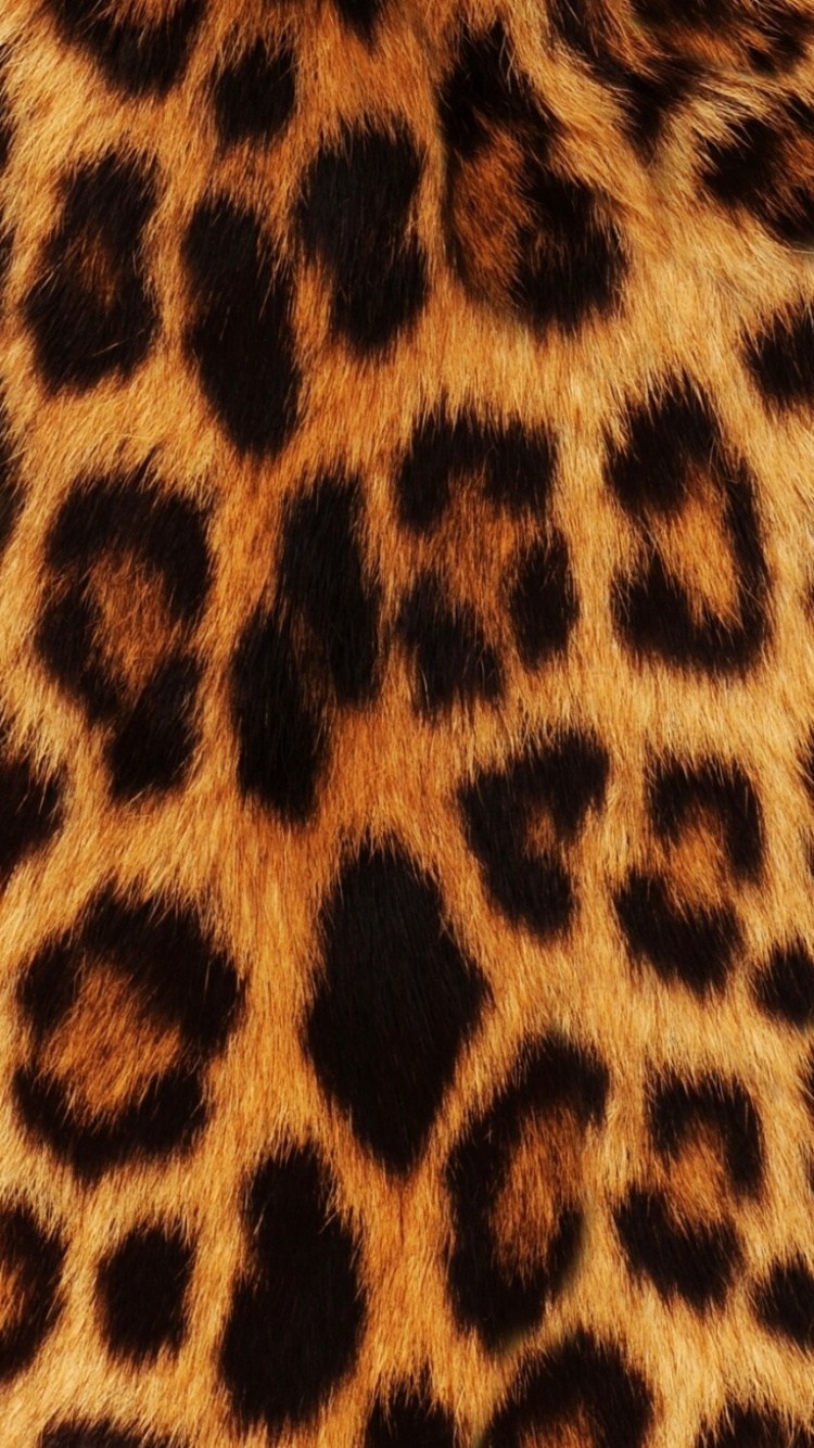 Brown and Black Leopard Textile. Wallpaper in 750x1334 Resolution