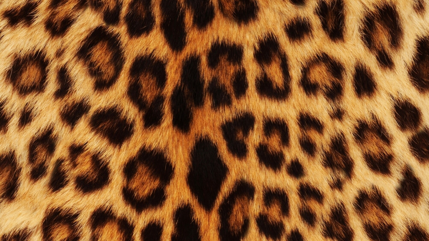 Textil de Leopardo Marrón y Negro. Wallpaper in 1366x768 Resolution