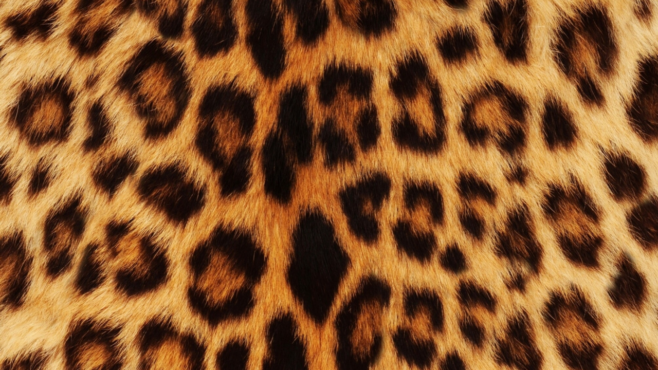 Braunes Und Schwarzes Leoparden-Textil. Wallpaper in 1280x720 Resolution