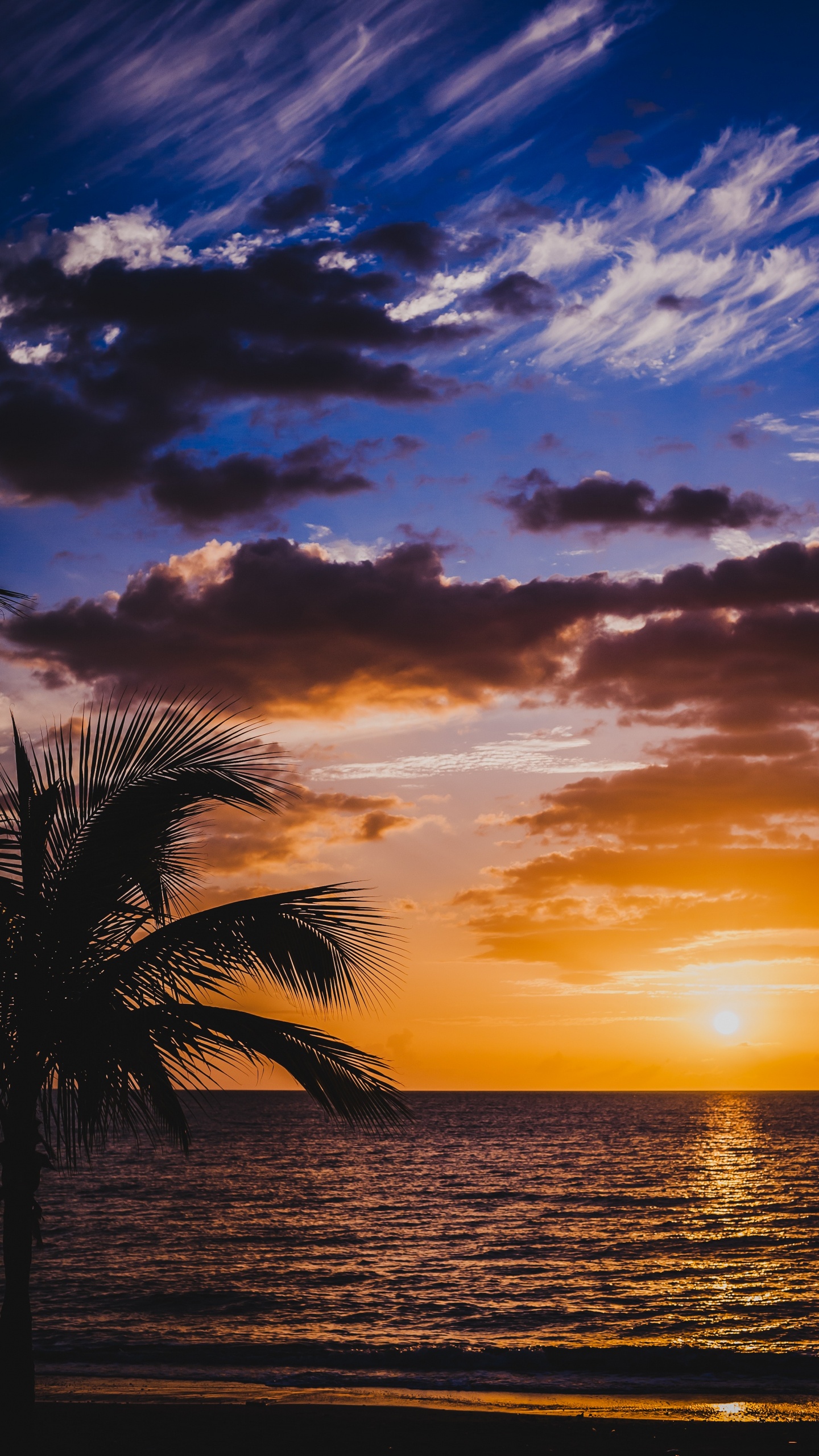 Afterglow, Puesta, Naturaleza, Mar, Oceano. Wallpaper in 1440x2560 Resolution