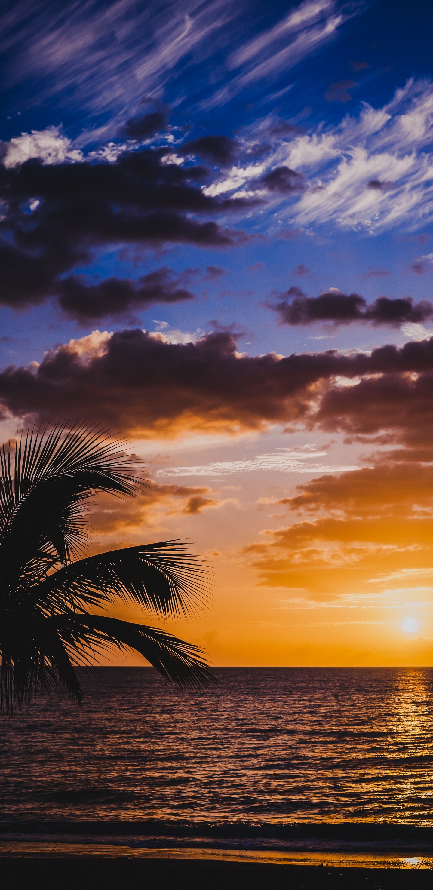 Afterglow, Puesta, Naturaleza, Mar, Oceano. Wallpaper in 1440x2960 Resolution