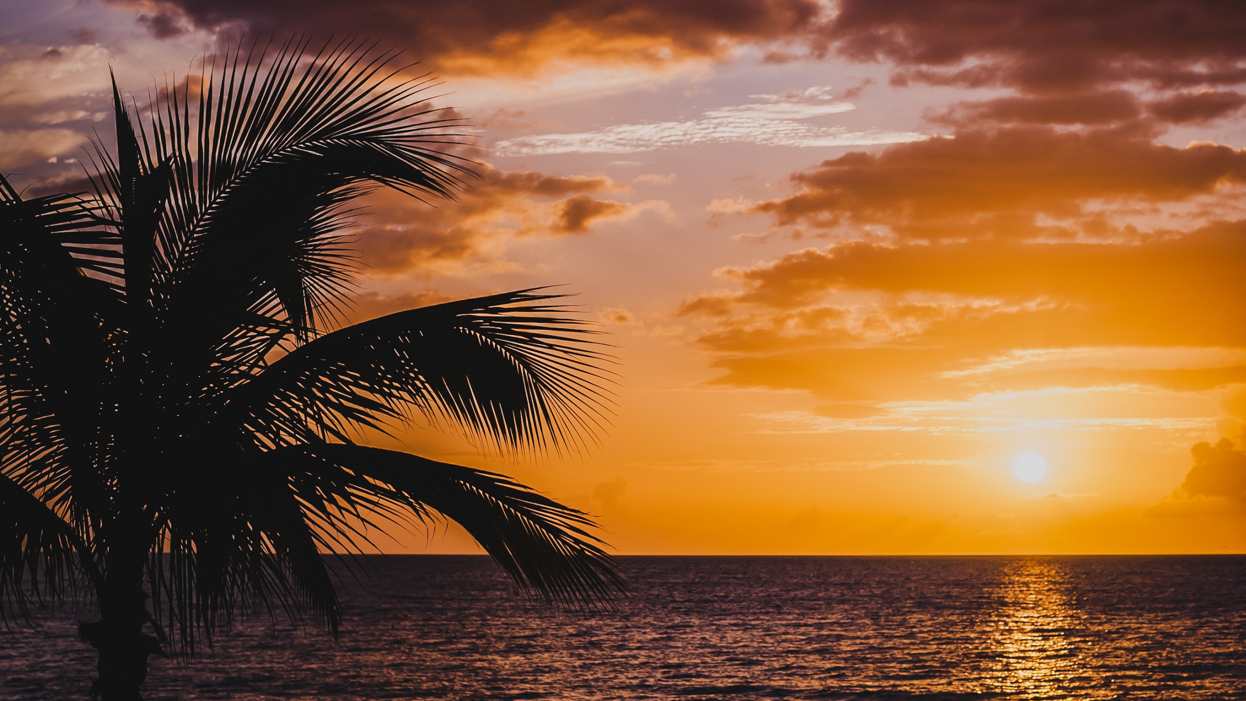 Afterglow, Puesta, Naturaleza, Mar, Oceano. Wallpaper in 2560x1440 Resolution