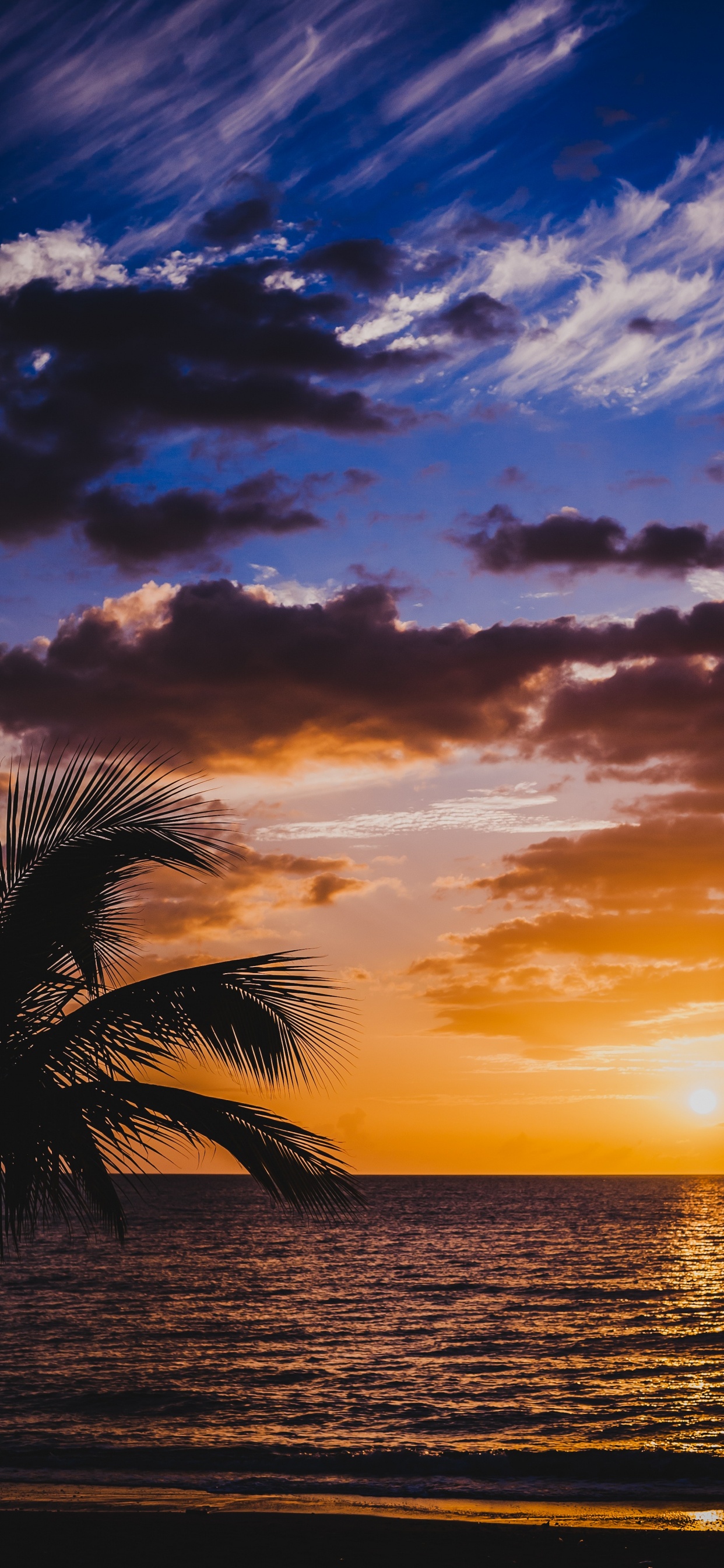 Horizon, Afterglow, Nature, Lever, Mer. Wallpaper in 1242x2688 Resolution