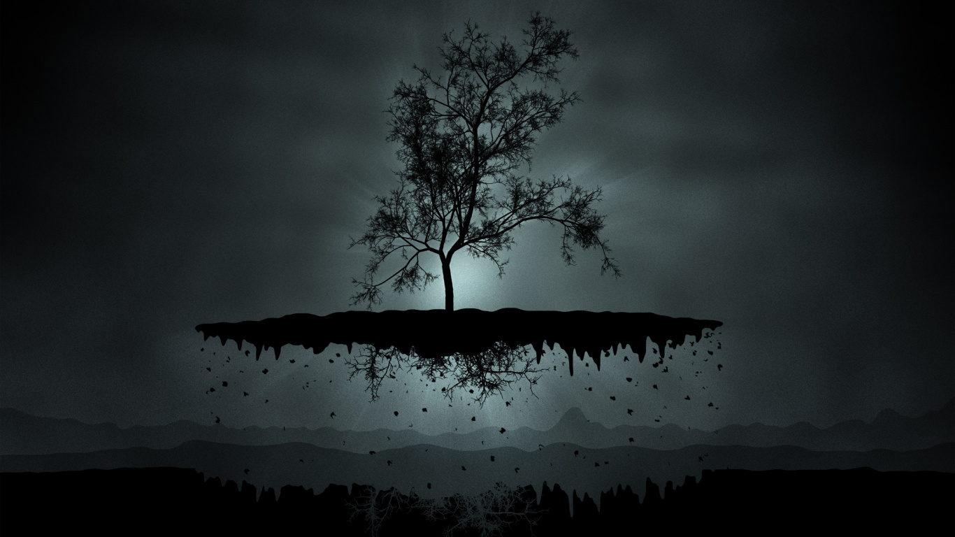 Silhouette of Bare Tree During Night Time. Wallpaper in 1366x768 Resolution