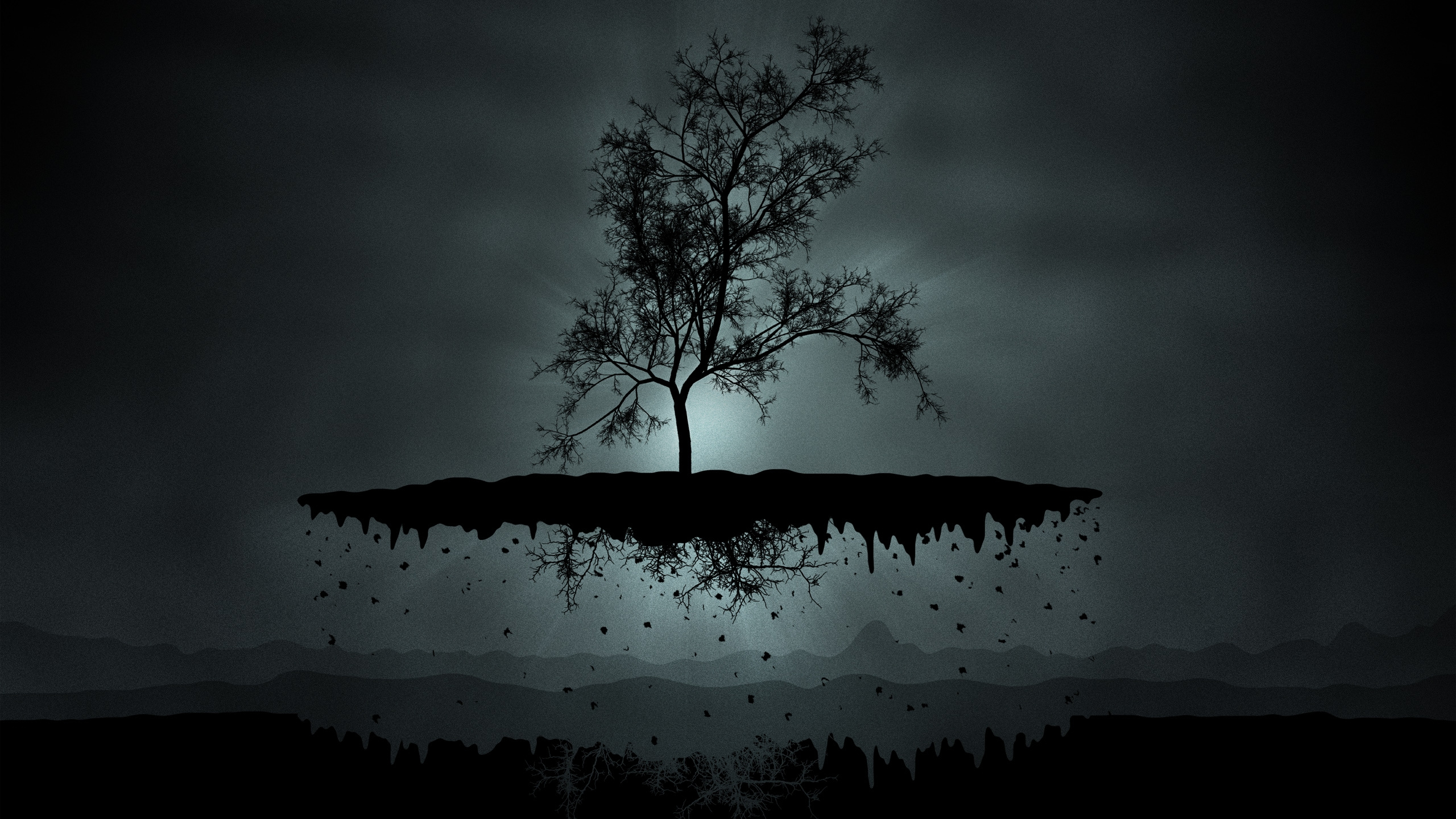 Silhouette of Bare Tree During Night Time. Wallpaper in 2560x1440 Resolution