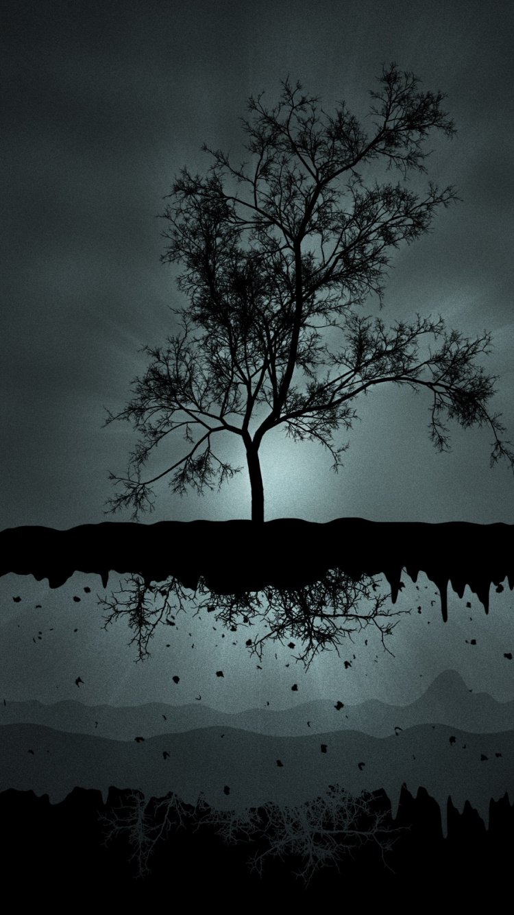 Silhouette of Bare Tree During Night Time. Wallpaper in 750x1334 Resolution