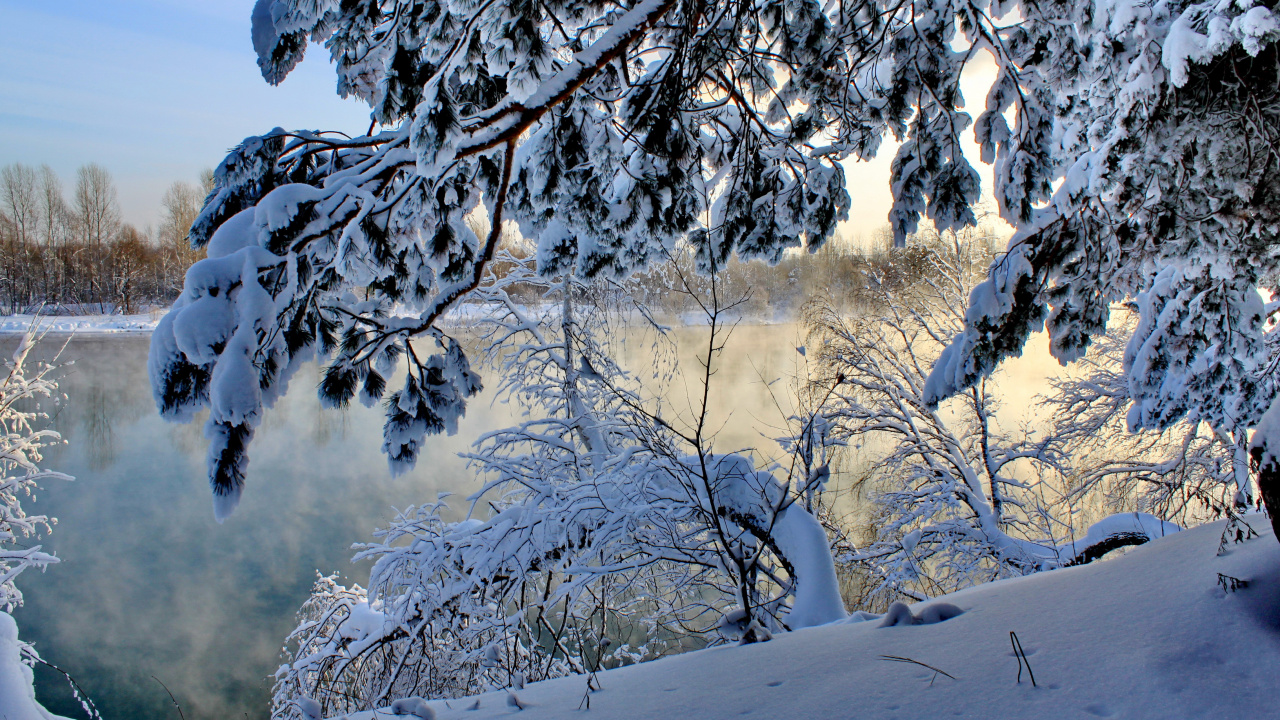 Arbres Couverts de Neige Pendant la Journée. Wallpaper in 1280x720 Resolution
