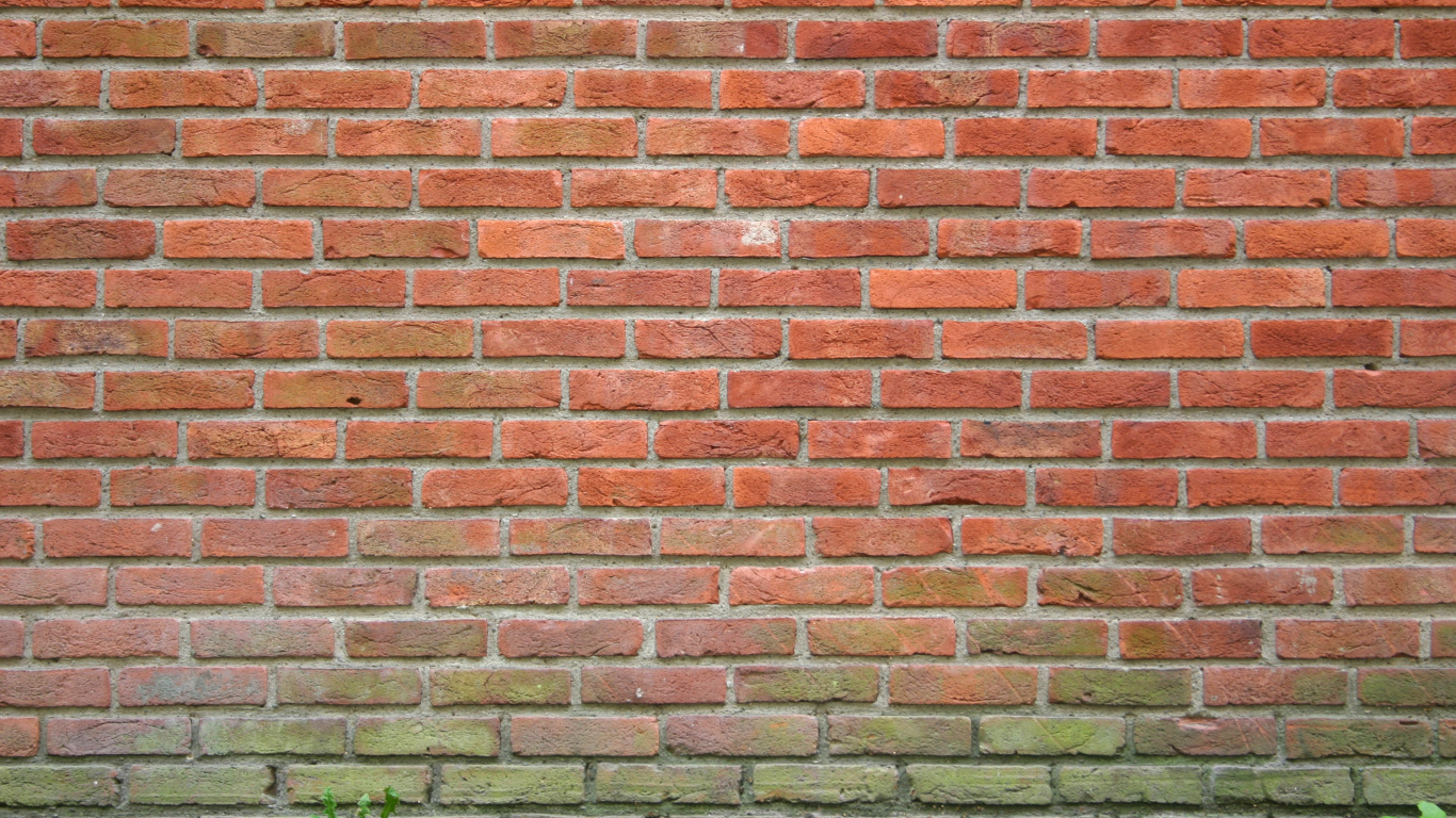 Green Grass Beside Brown Brick Wall. Wallpaper in 1366x768 Resolution